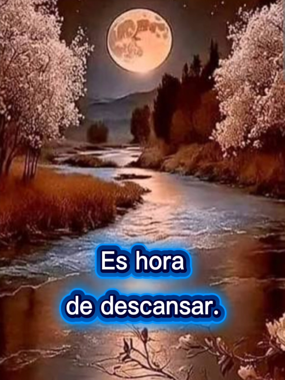 @Maria Ysabel 🇻🇪