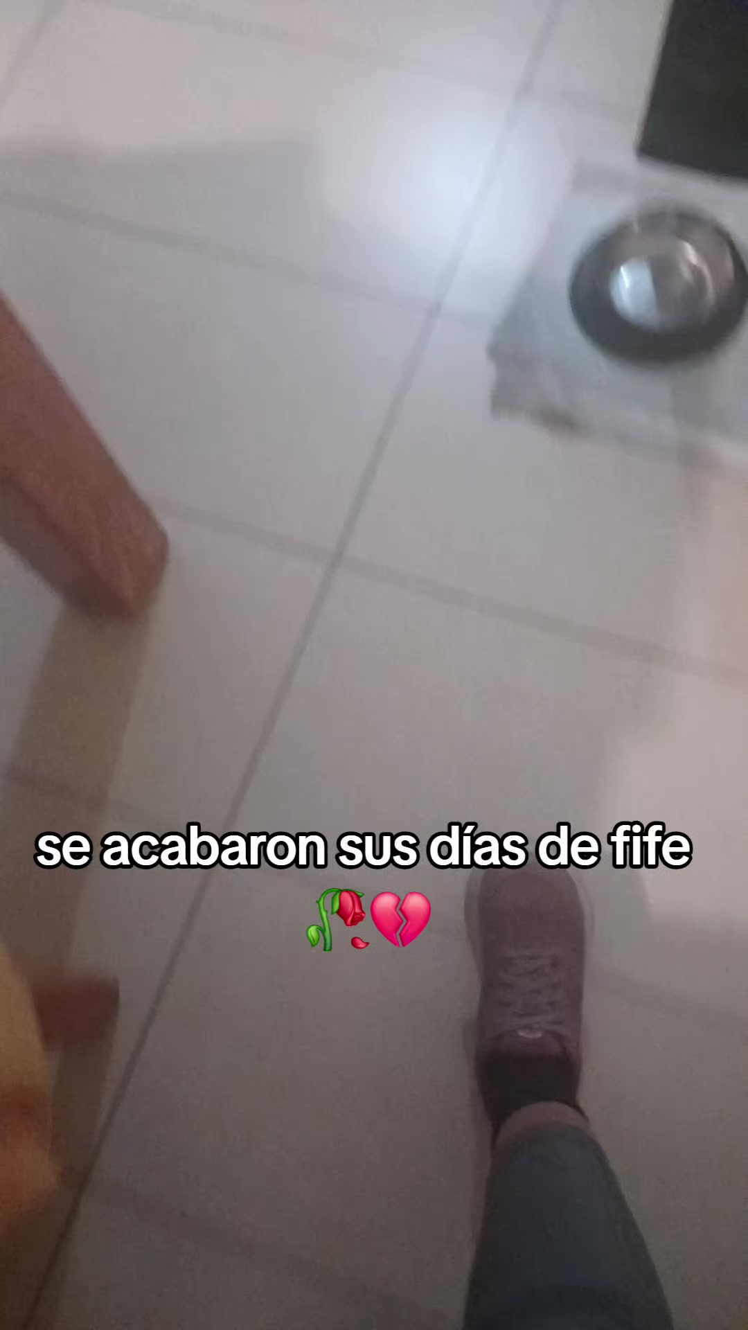 @&iexcl;🌸!