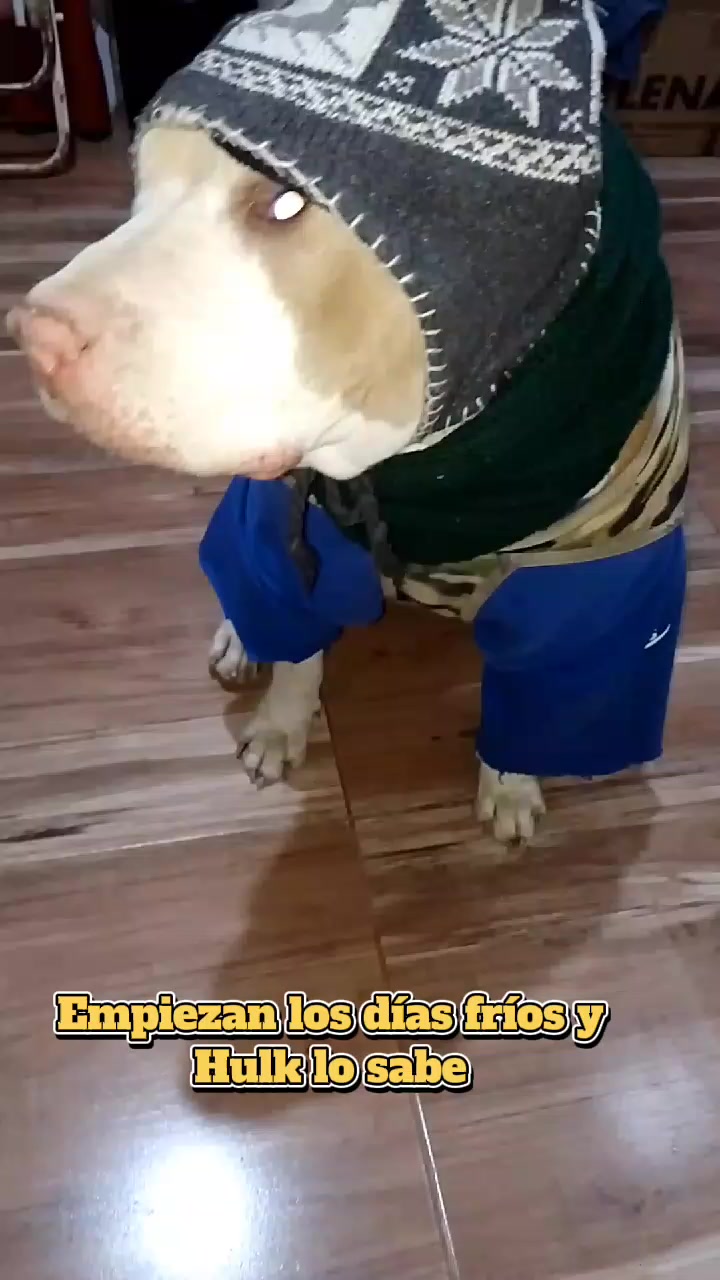@Bibi 💙🇦🇷
