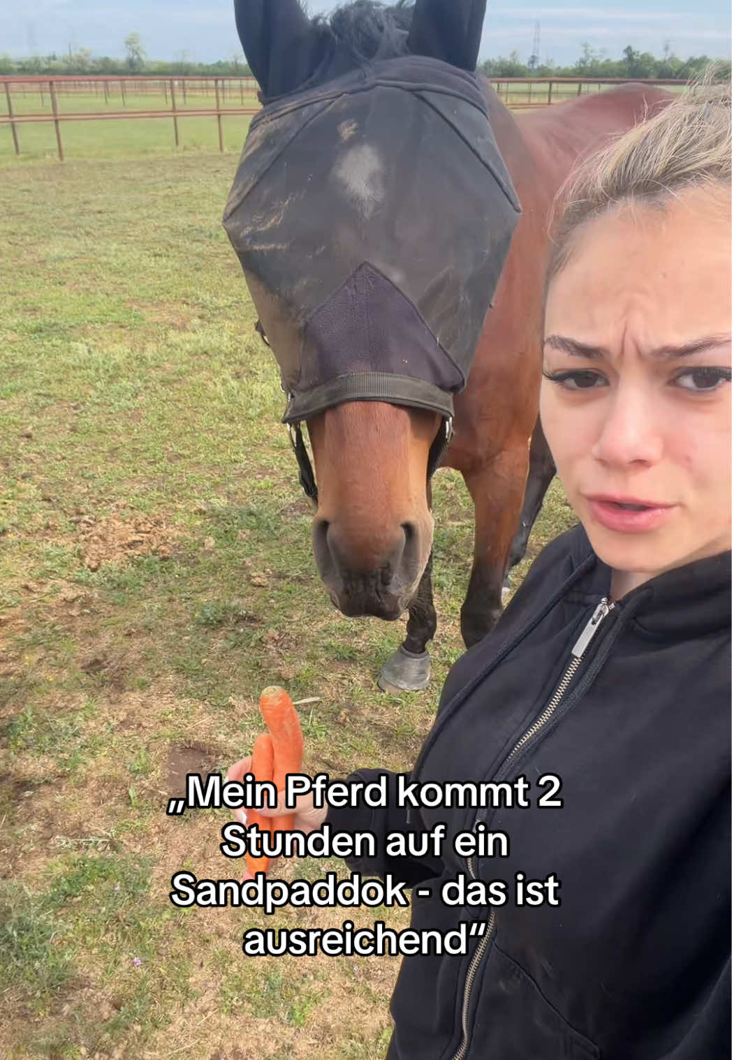 @sophietschi_x_equestrian