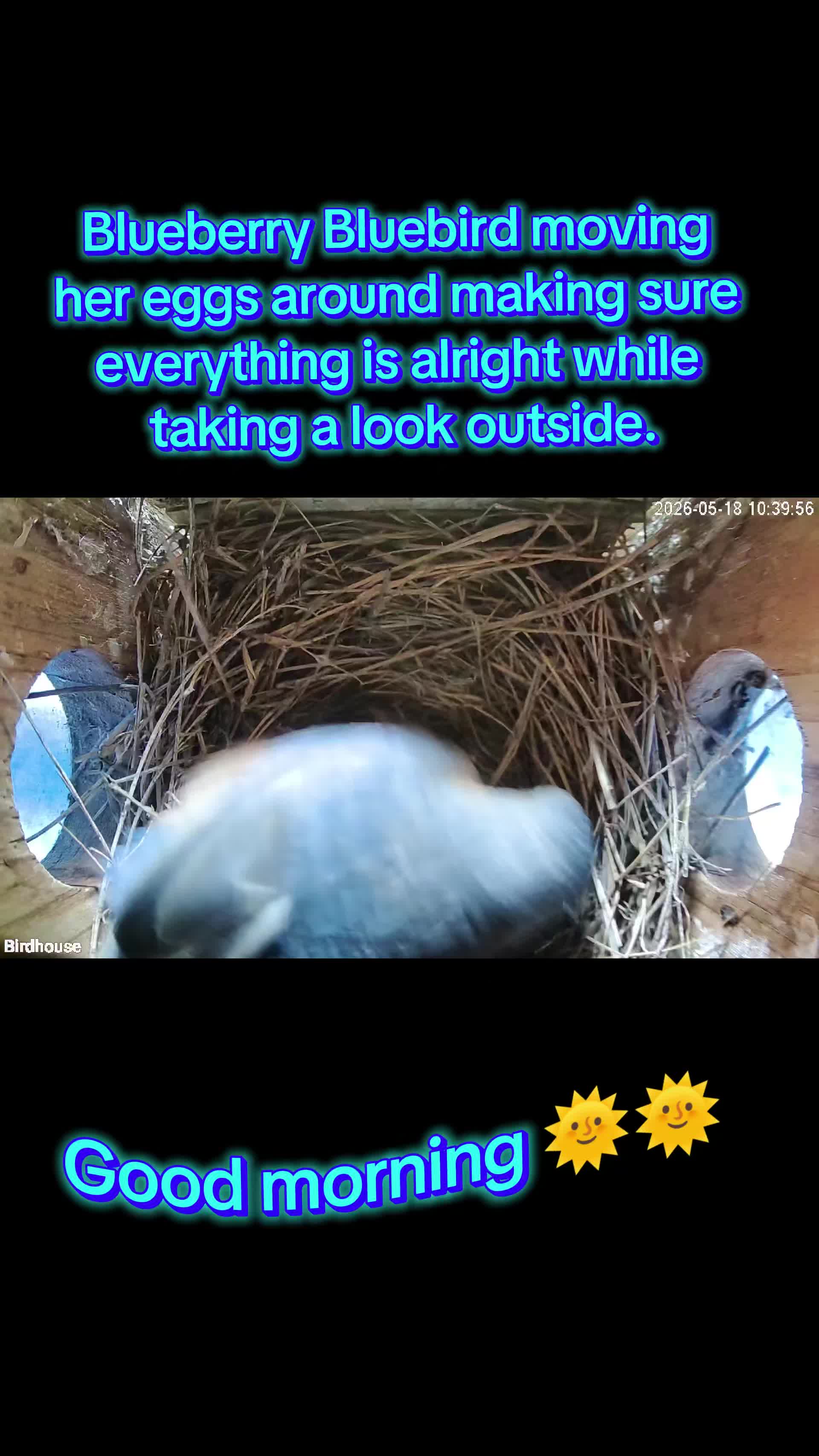 @The bird watcher 🐦 🦜 🦚