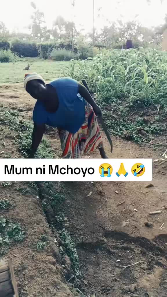@Herman Kamariki