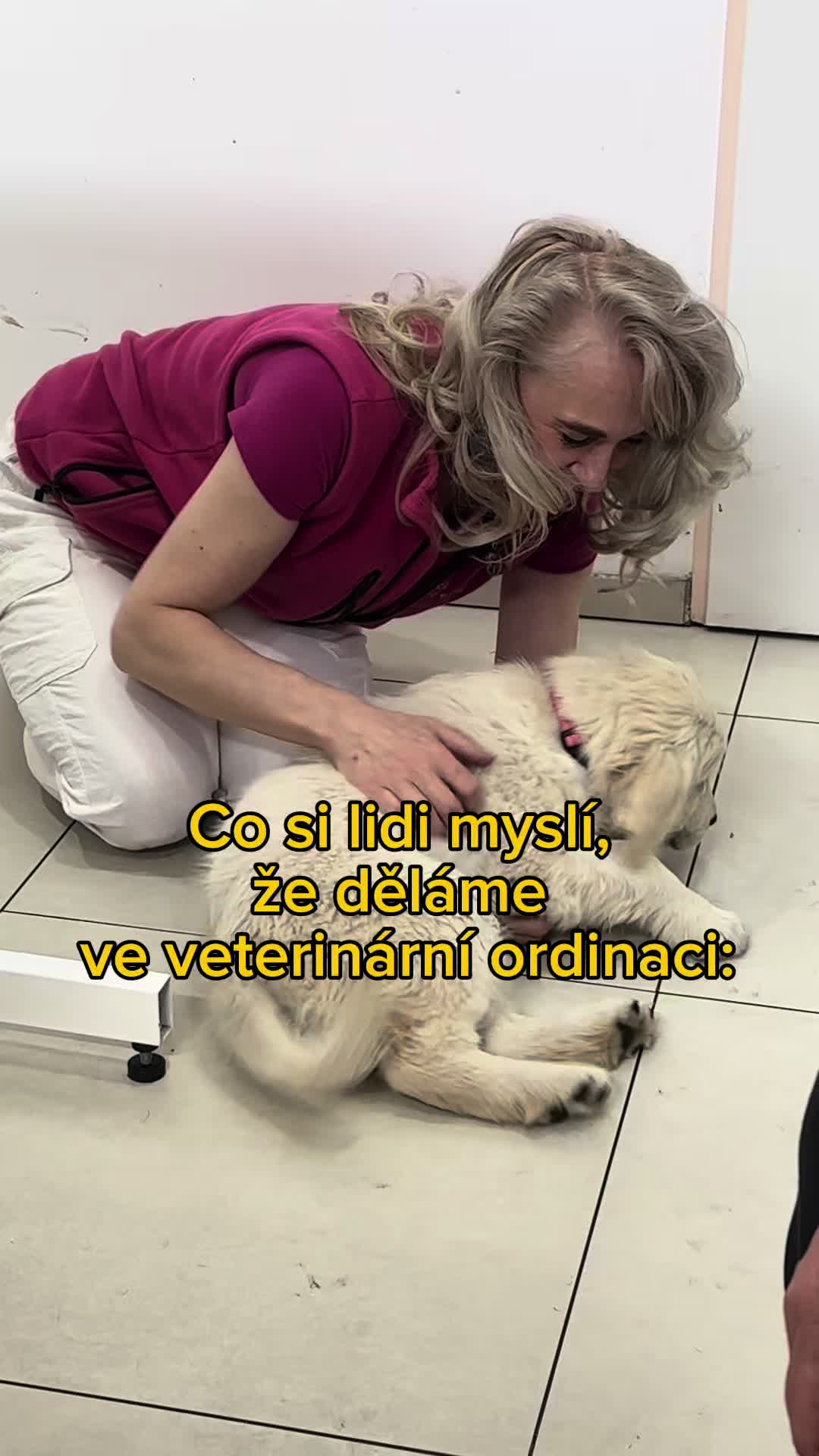 @N&aacute;&scaron; veterin&aacute;ř