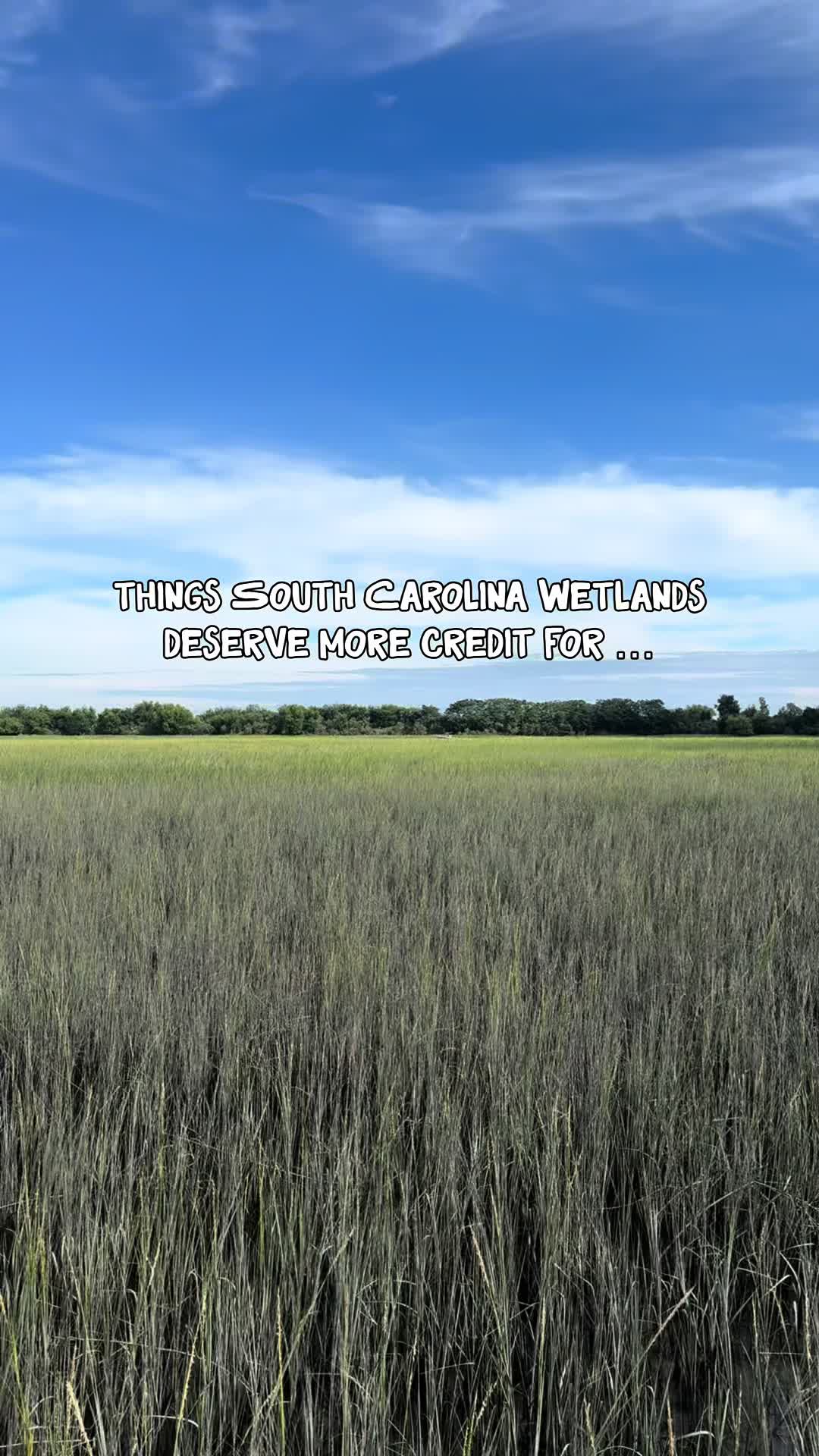 @South Carolina 7