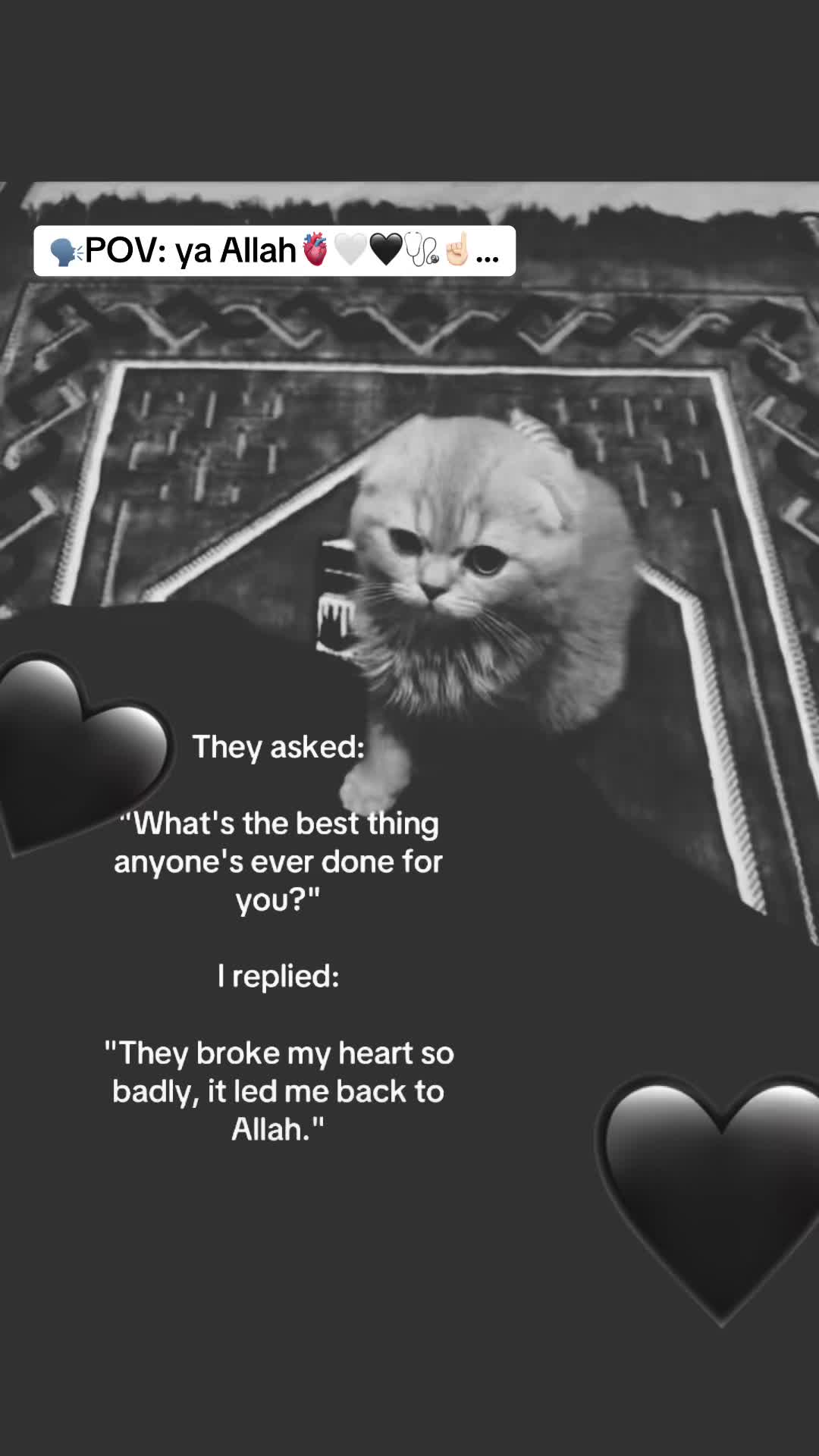 @🤍Marwa jan PSJ🖤
