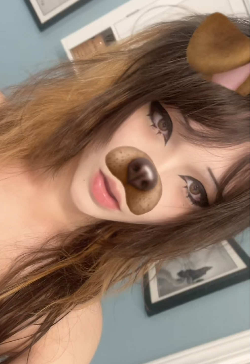 @real pancake cat girl