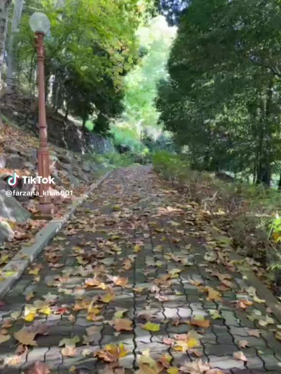 @farzna_khan