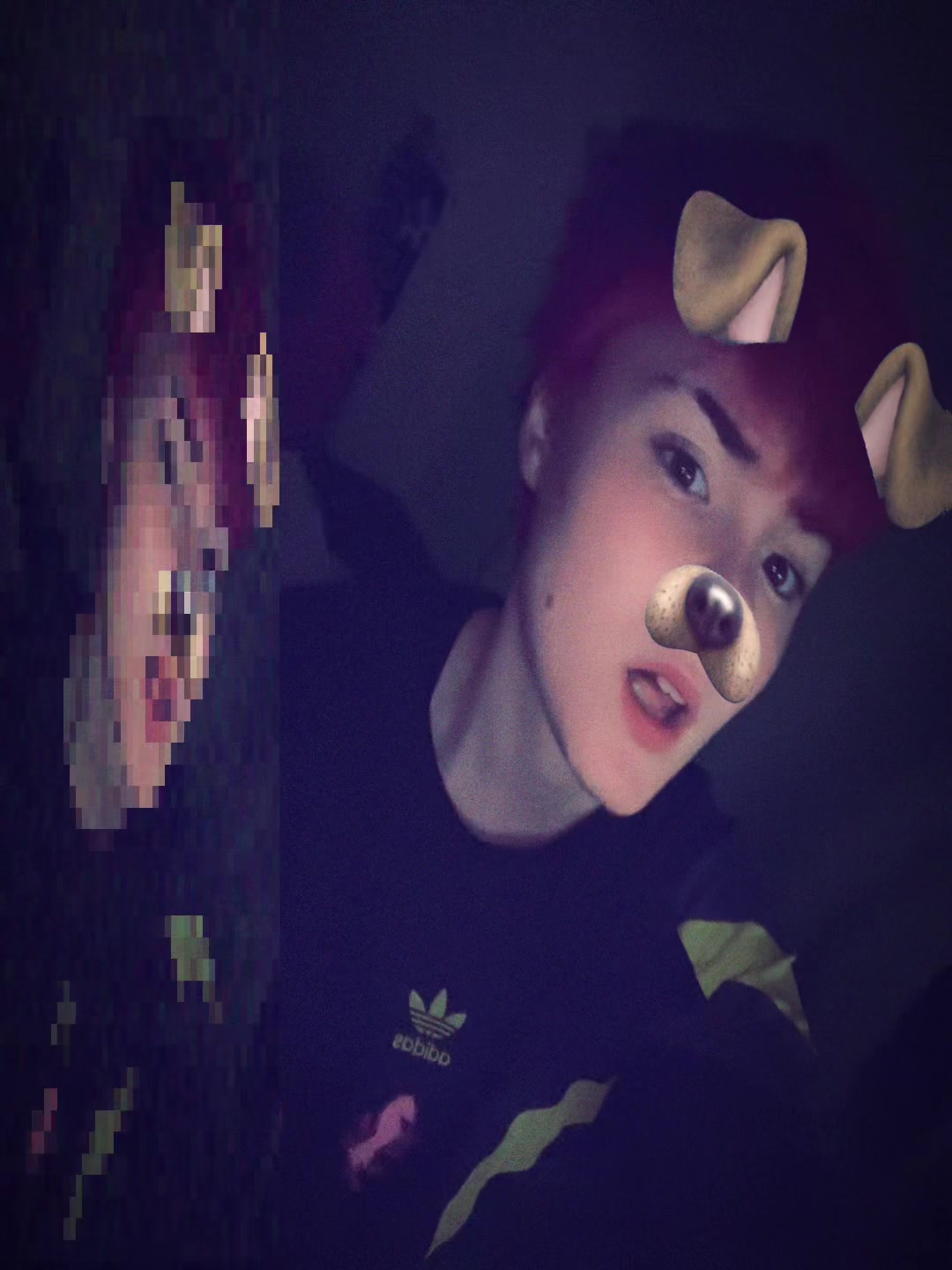 @noaah.delphine