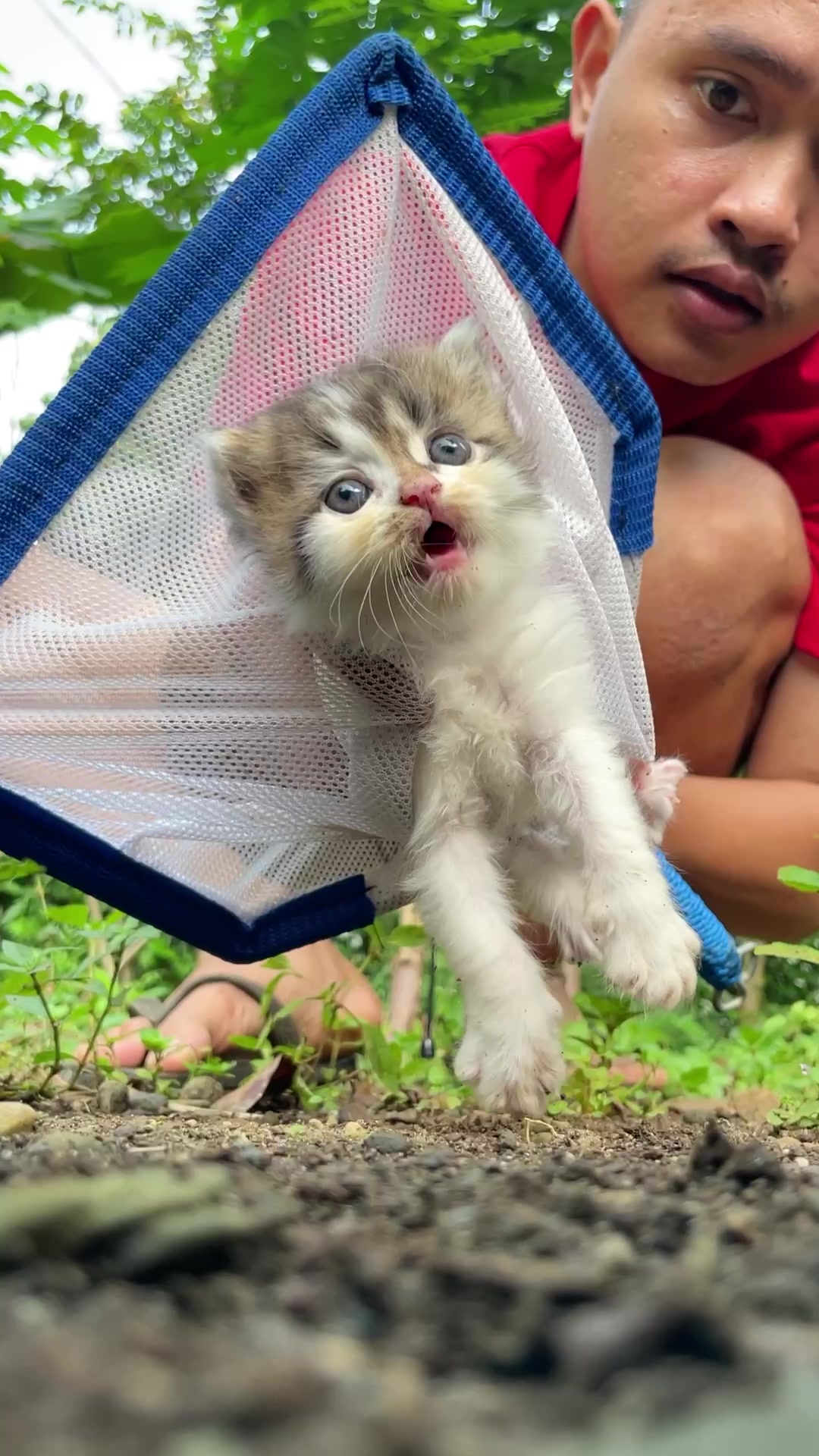 @Republic Of Cat