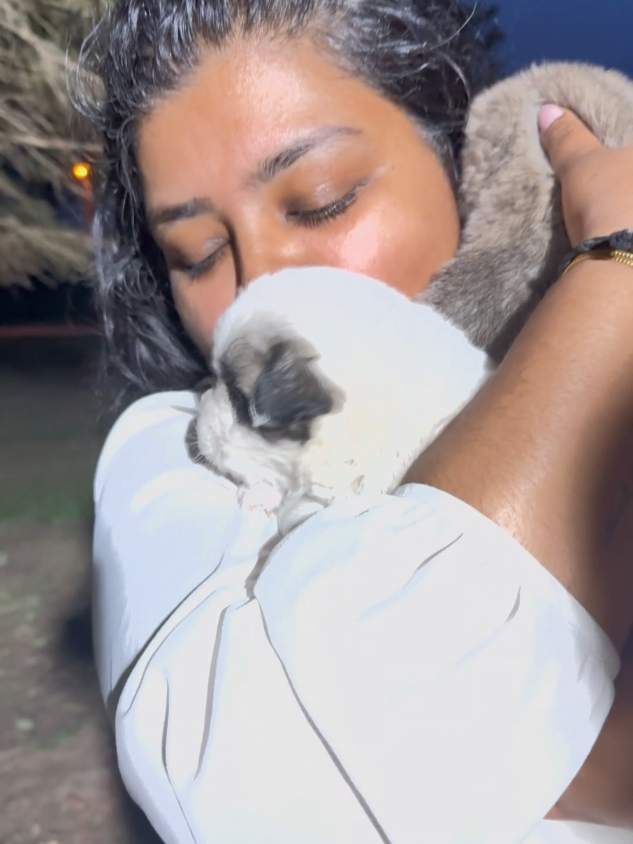 @கி💙🧿ﾒ𝟶