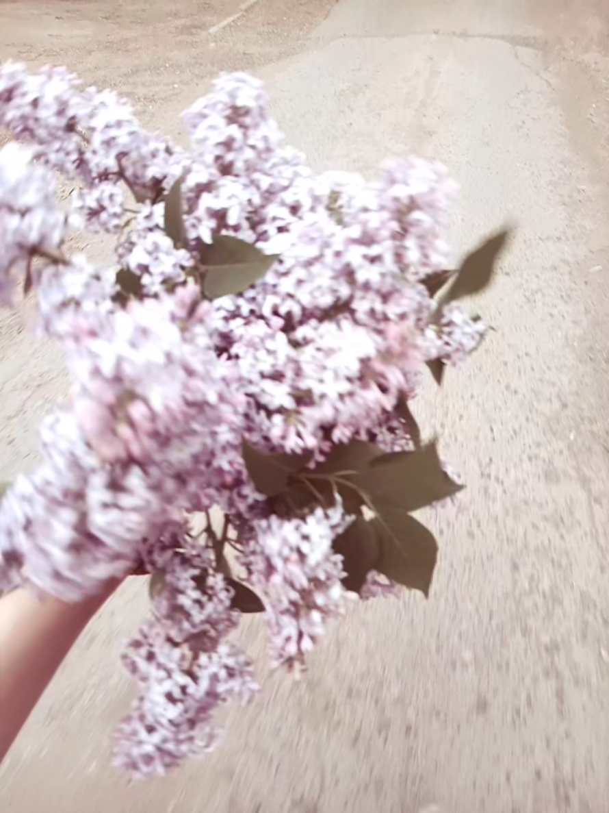 @💗машуля💗
