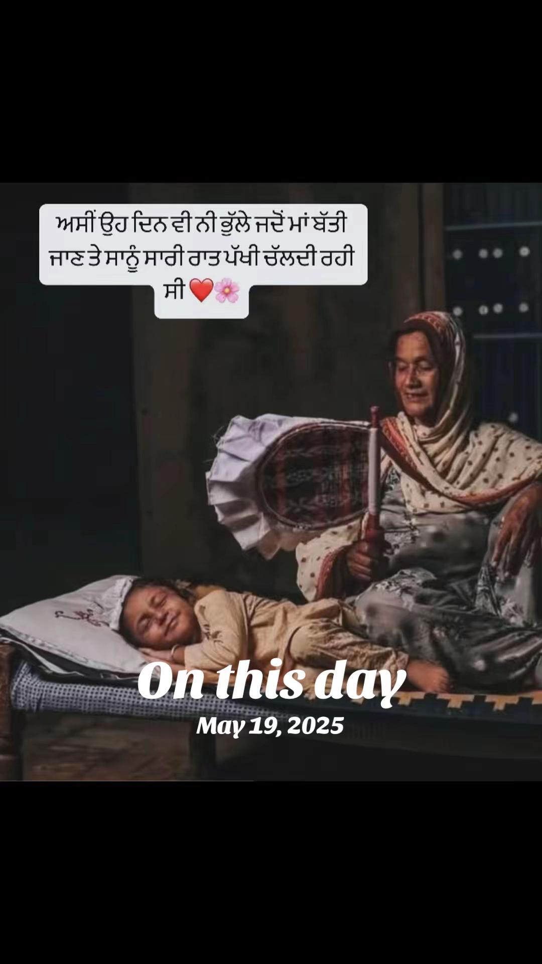 @vehlijanta761