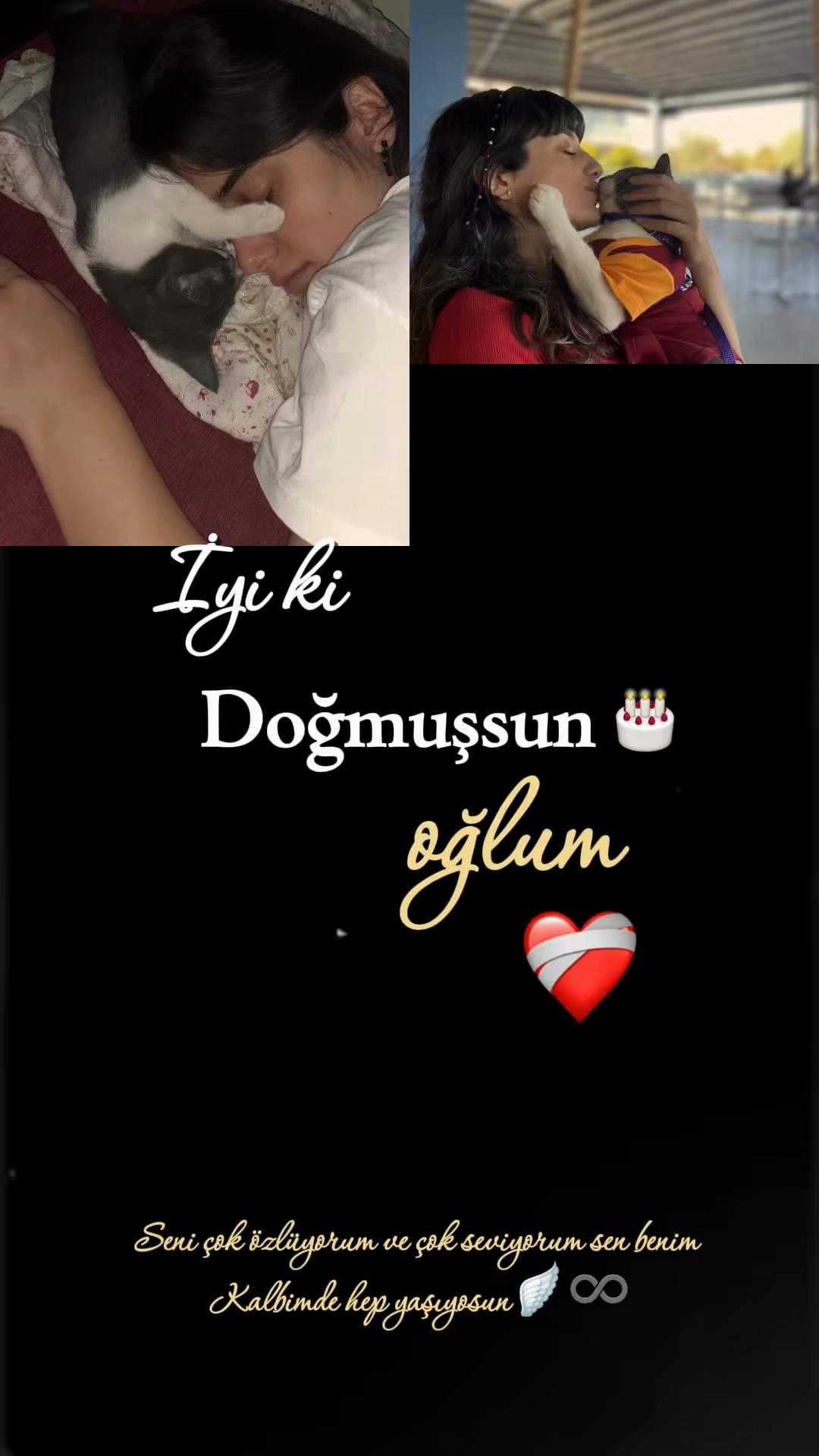 @ayseee5560