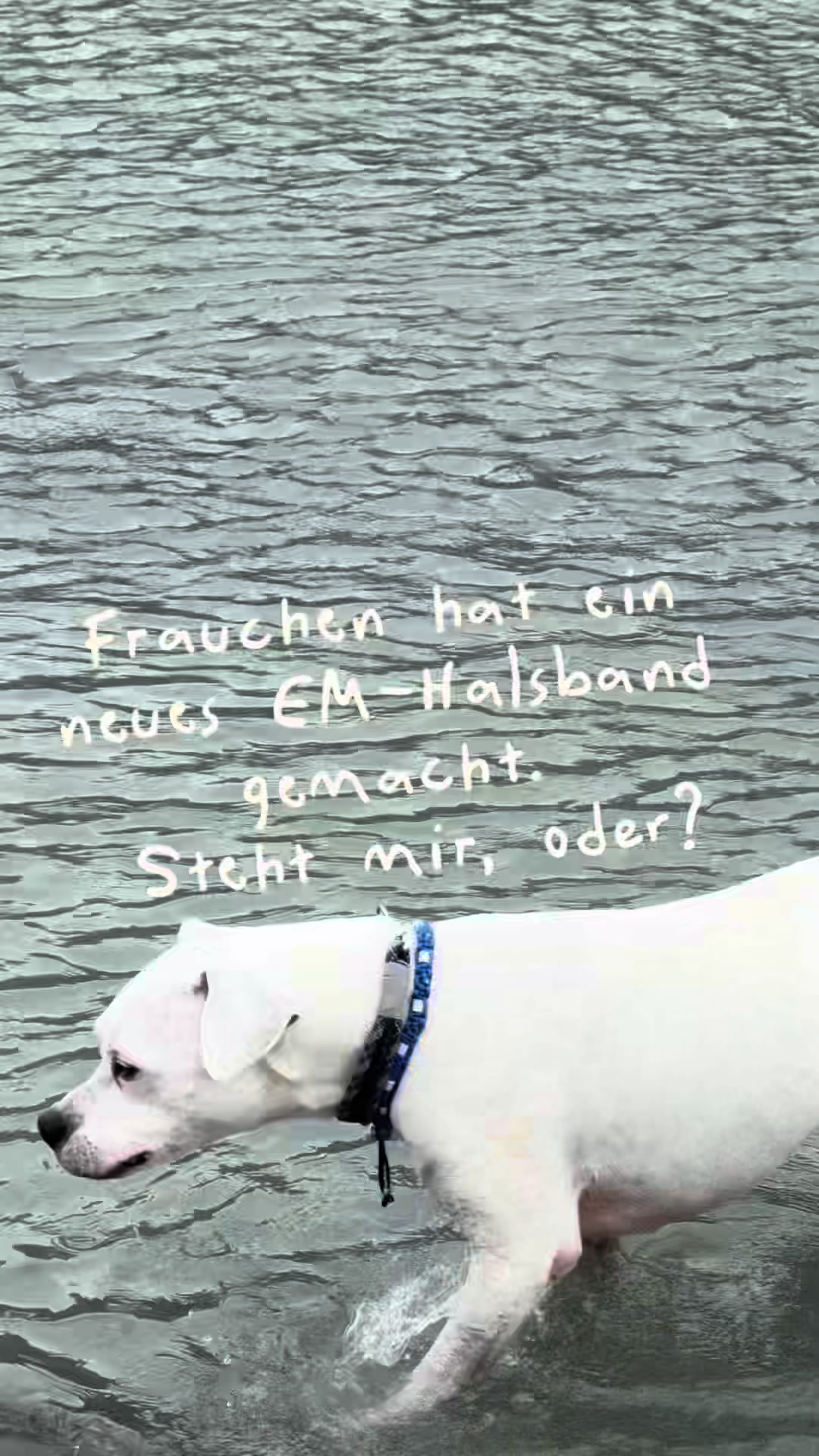 @MaSa, Louis & die Pferde