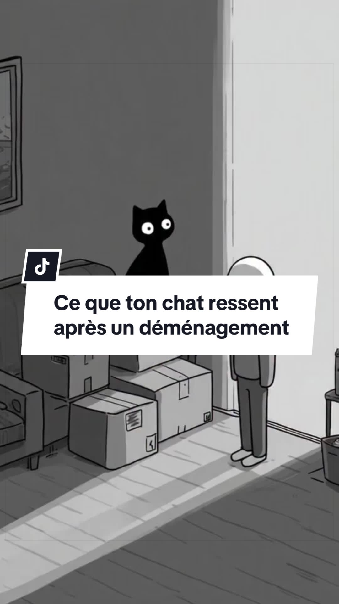 @PsyCat