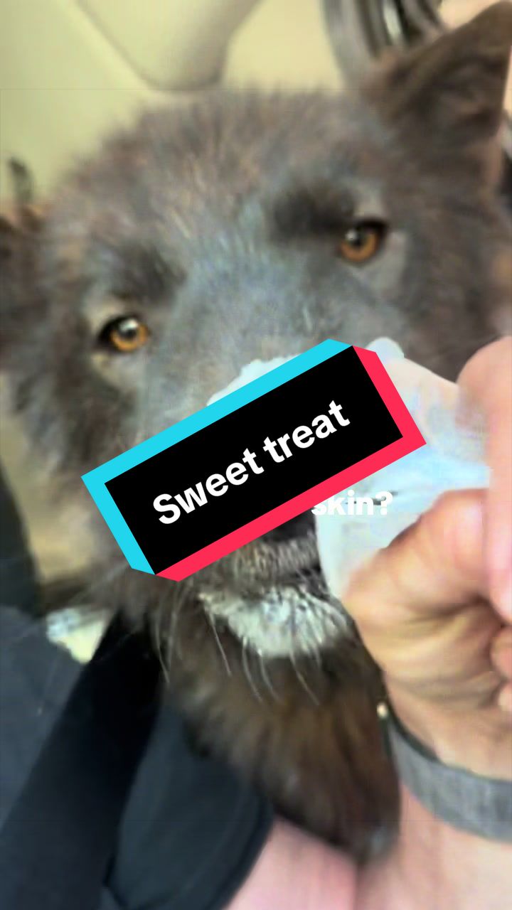 @ApexWolves