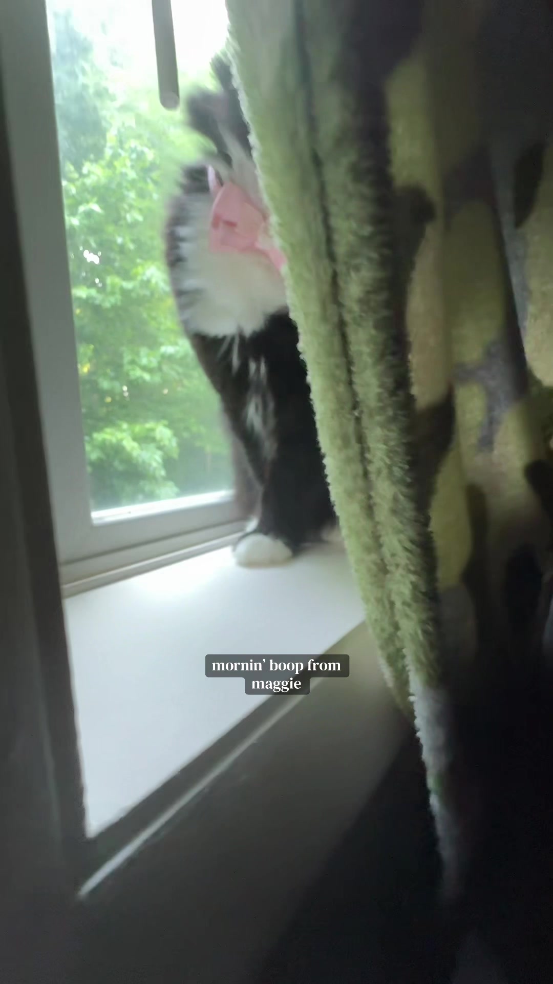 @bug