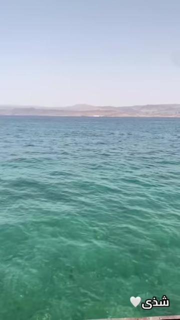 @شذى معين