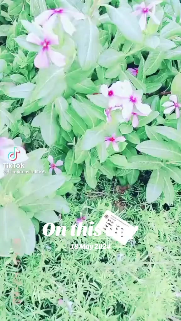 @💥BHaMbHRo😍❤️🩹