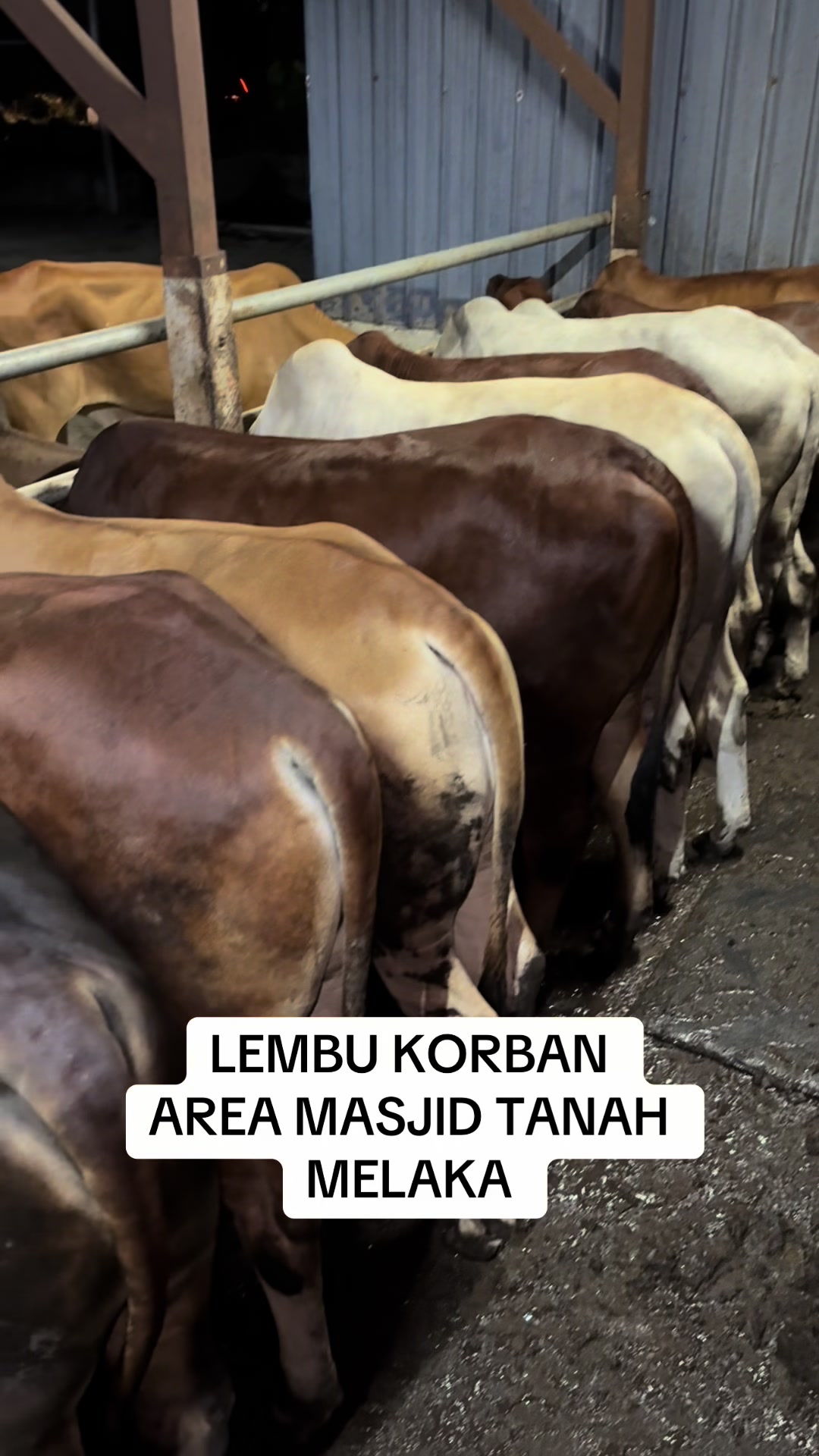 @Muhammad Ikmal Hakim