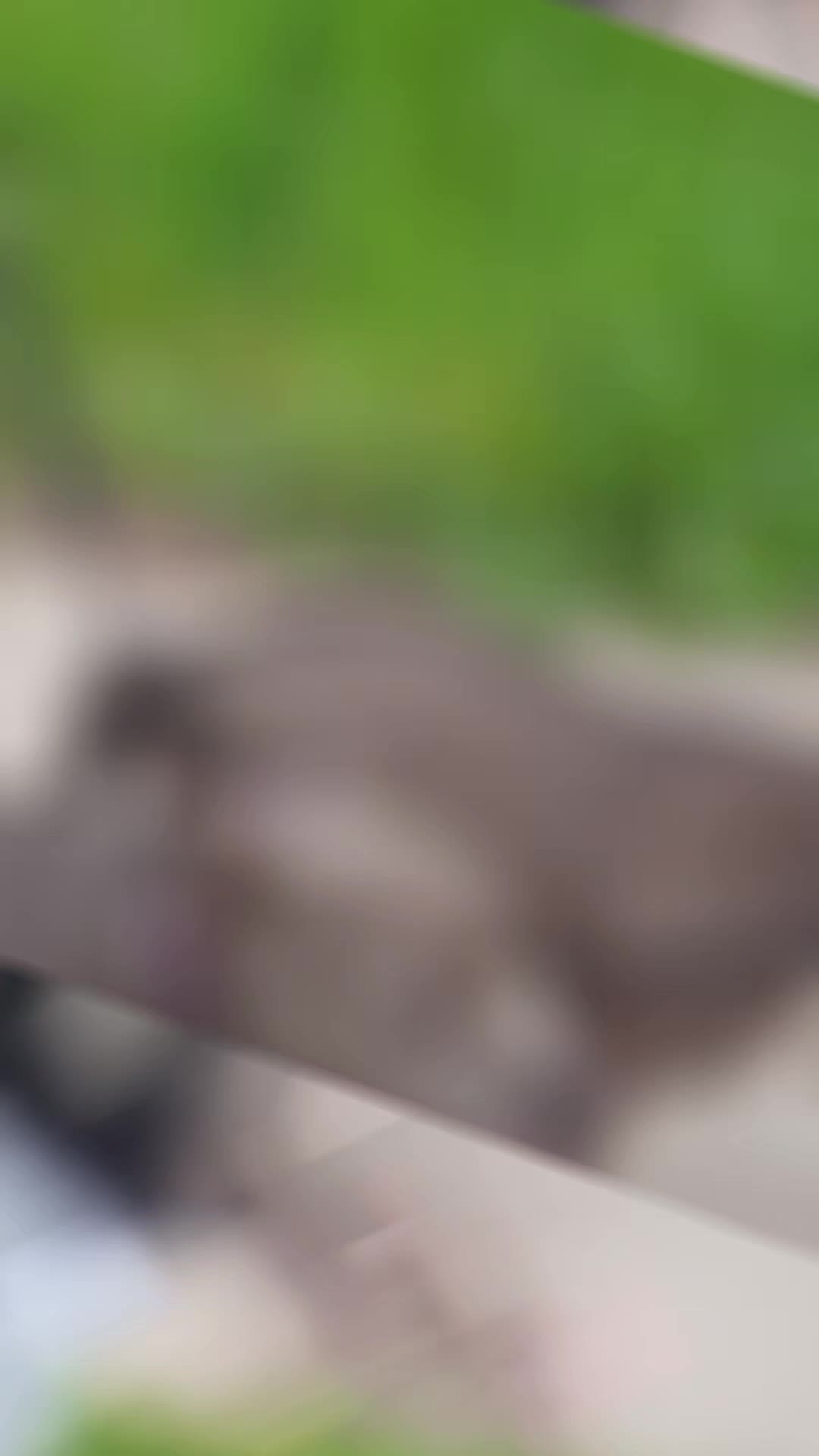 @X