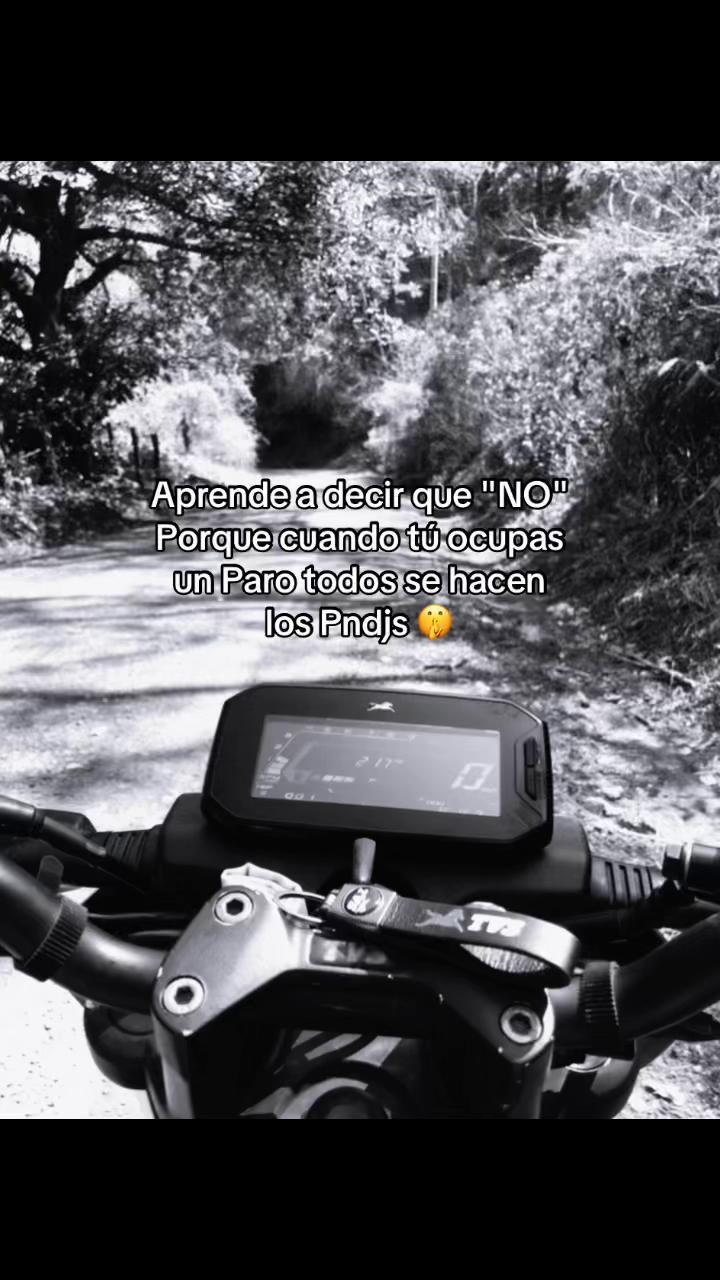@ sv.brixn_11