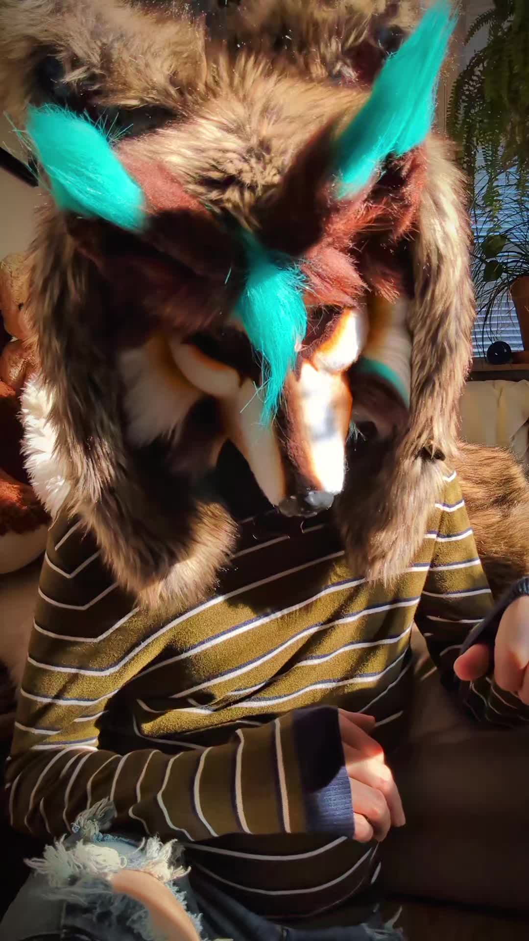 @starlit wolf