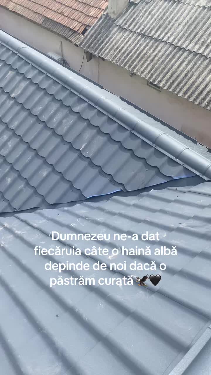 @mihaipaun32