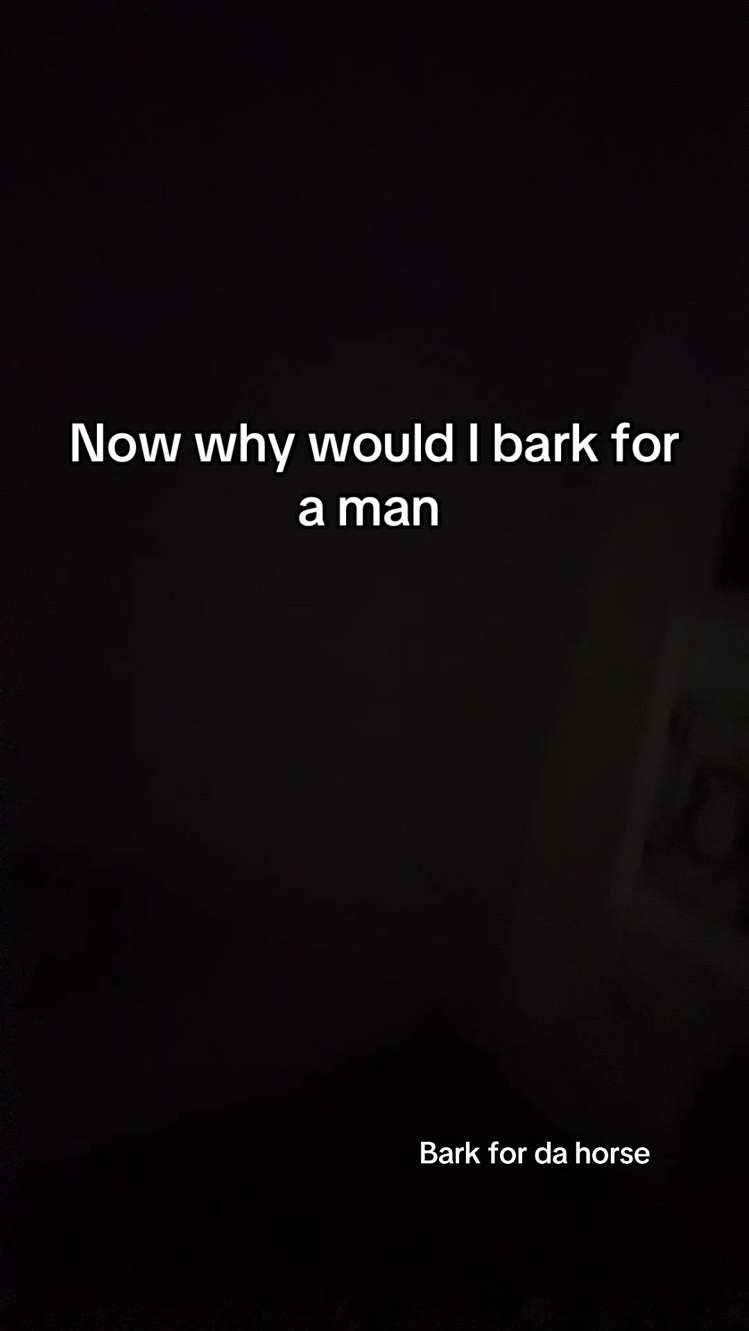 @lxserrrkxt