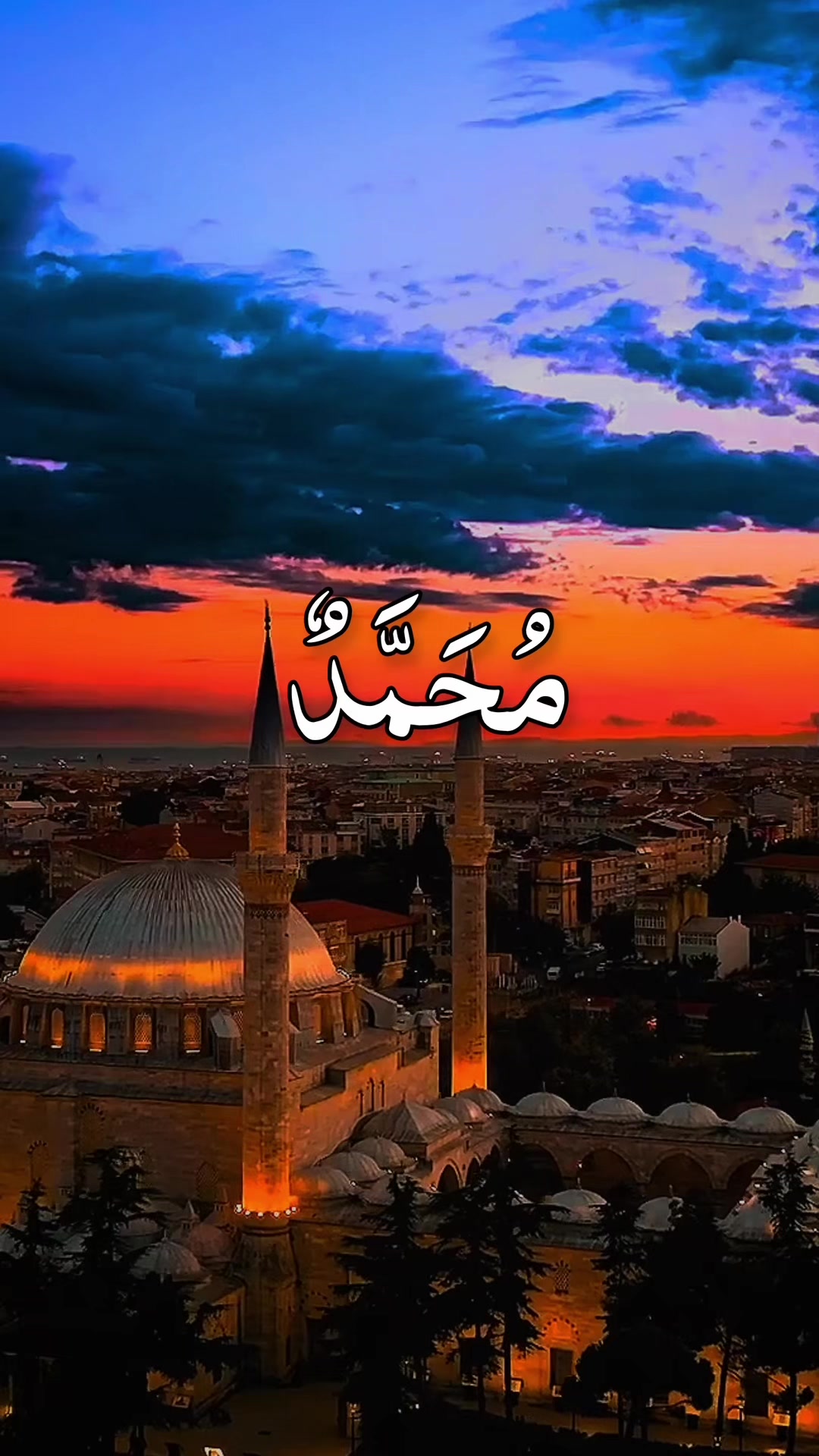 @❣️ Words of Allah ❣️