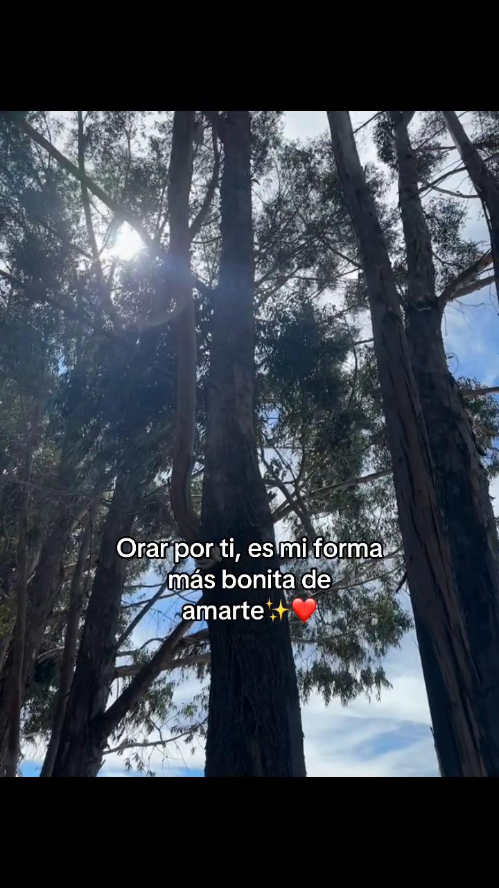 @sirley✨