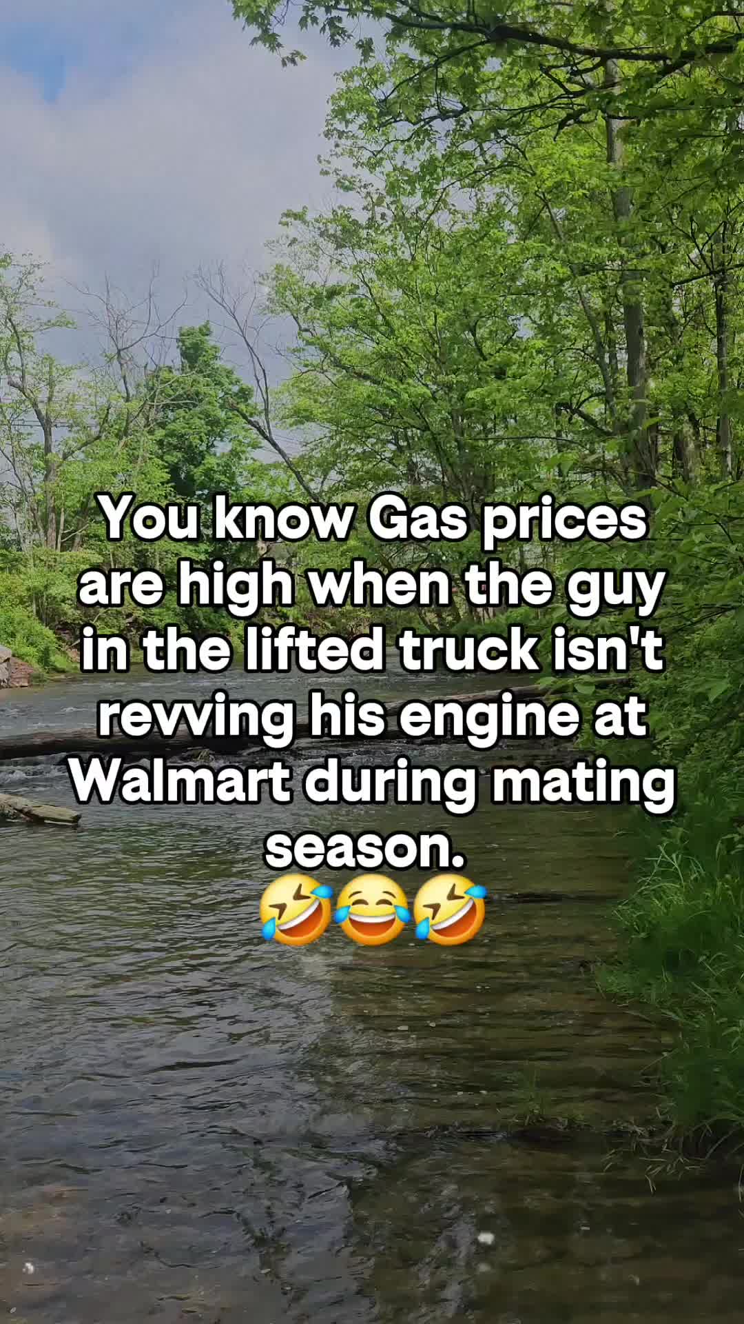 @amywands565