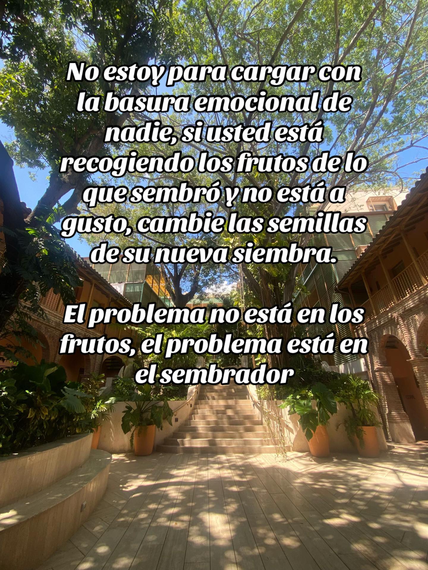 @soloseviveunavez9102