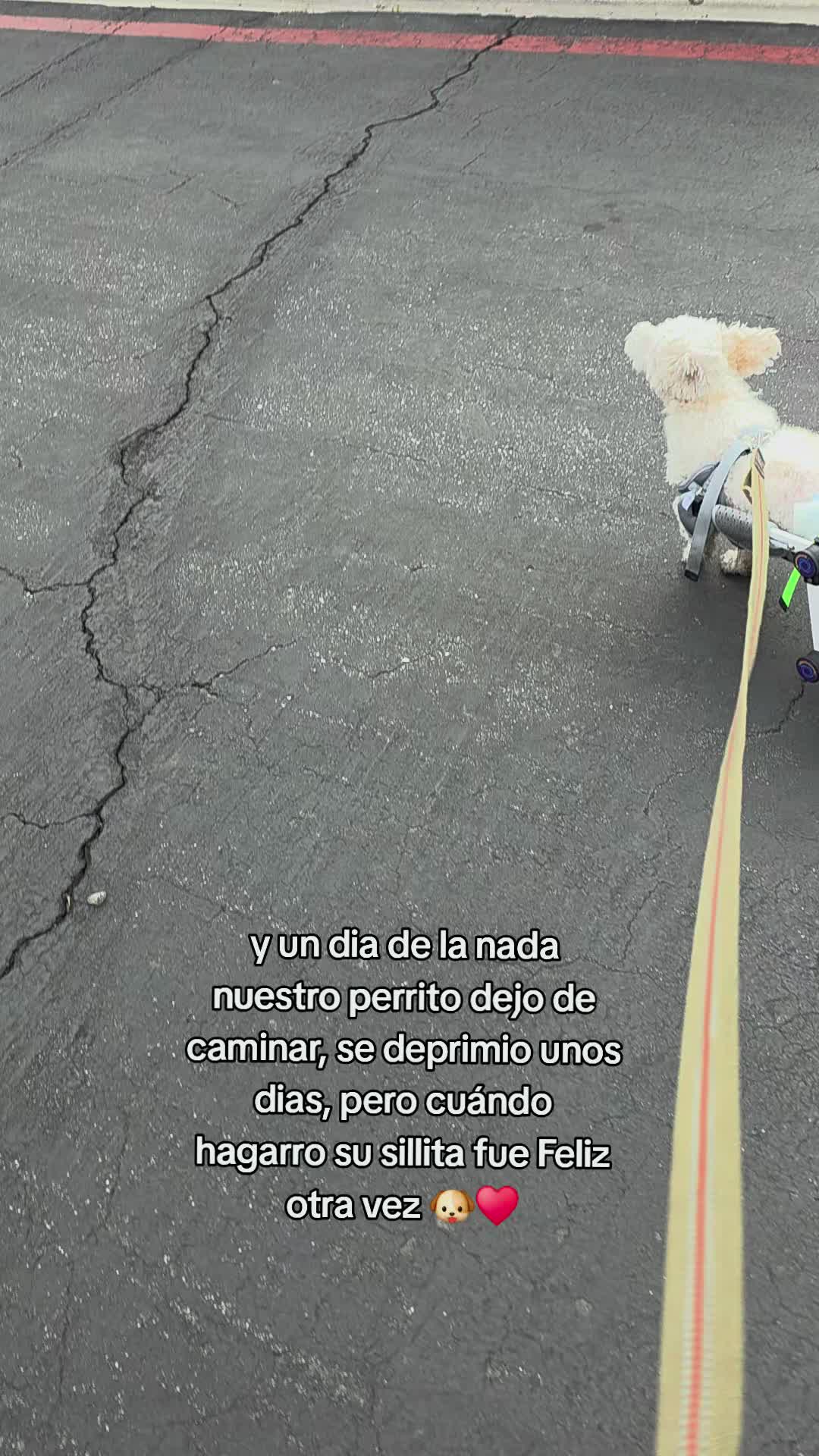 @Luz Mariposa de amor 🦋❤️