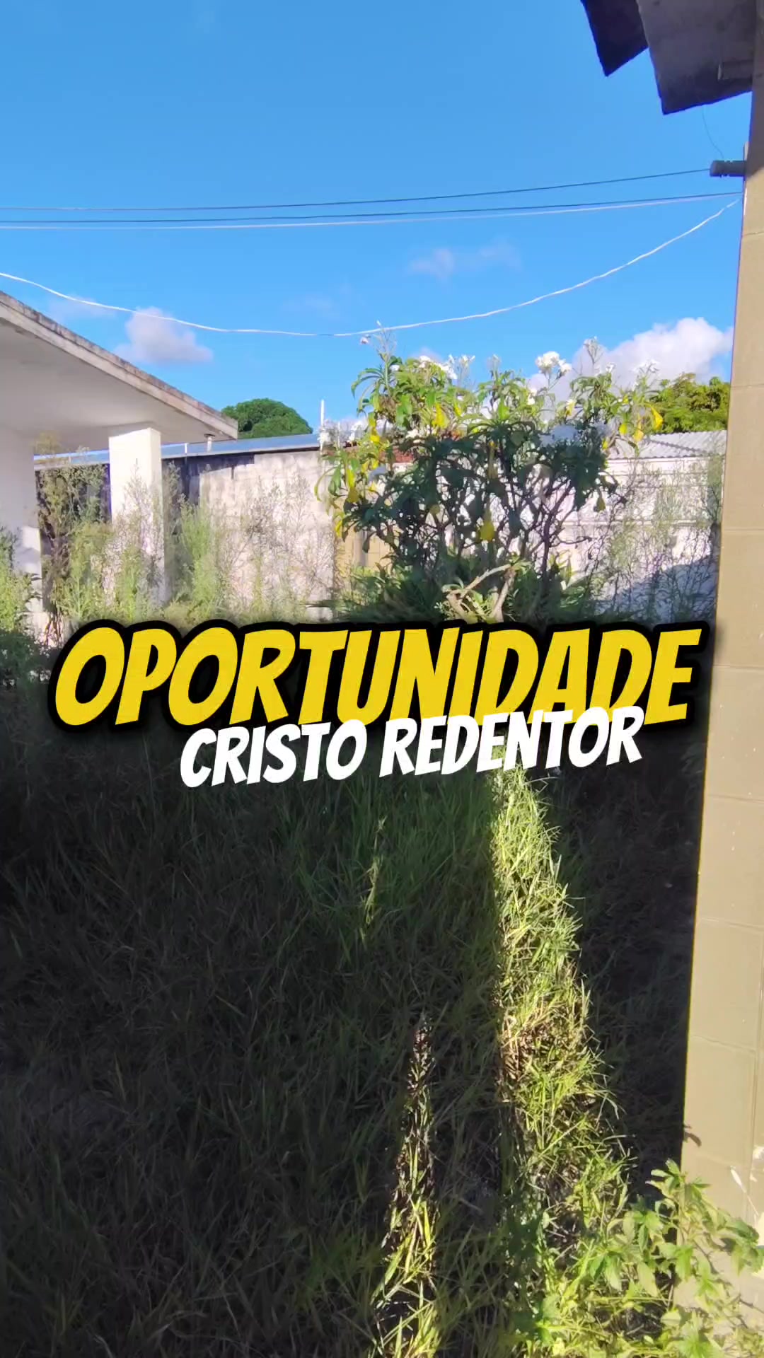 @Wesley Macedo Corretor