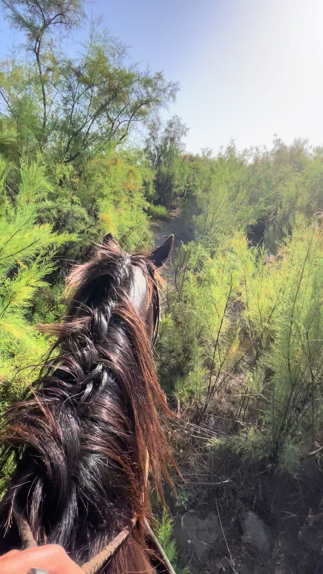 @Edunny