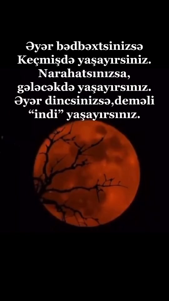 @Nur Şahgəldi
