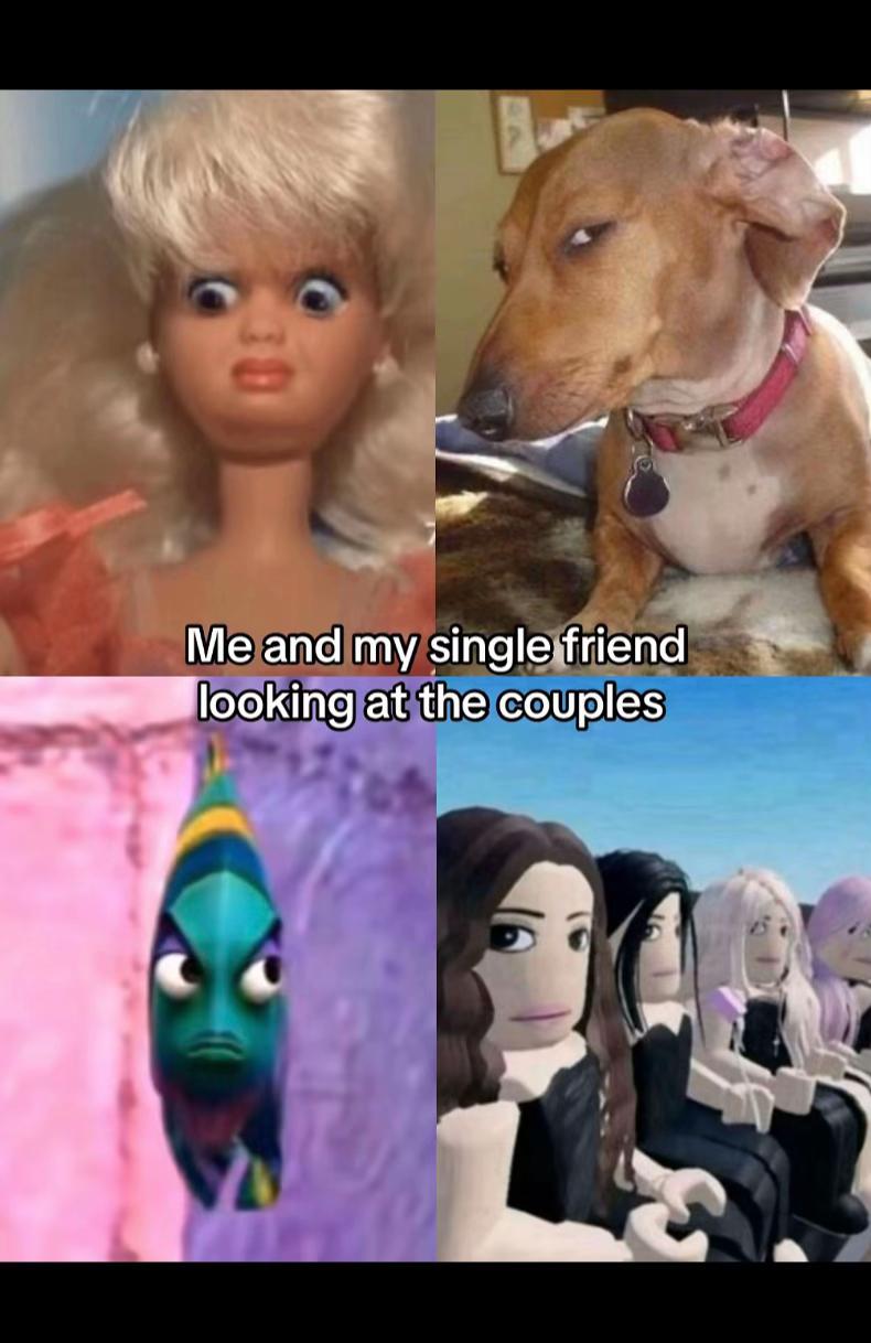 @✨🪽