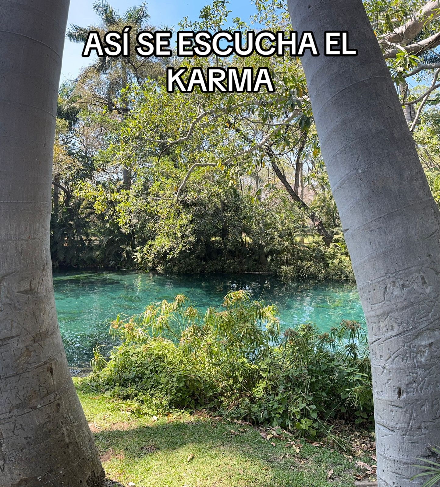 @aetz__201