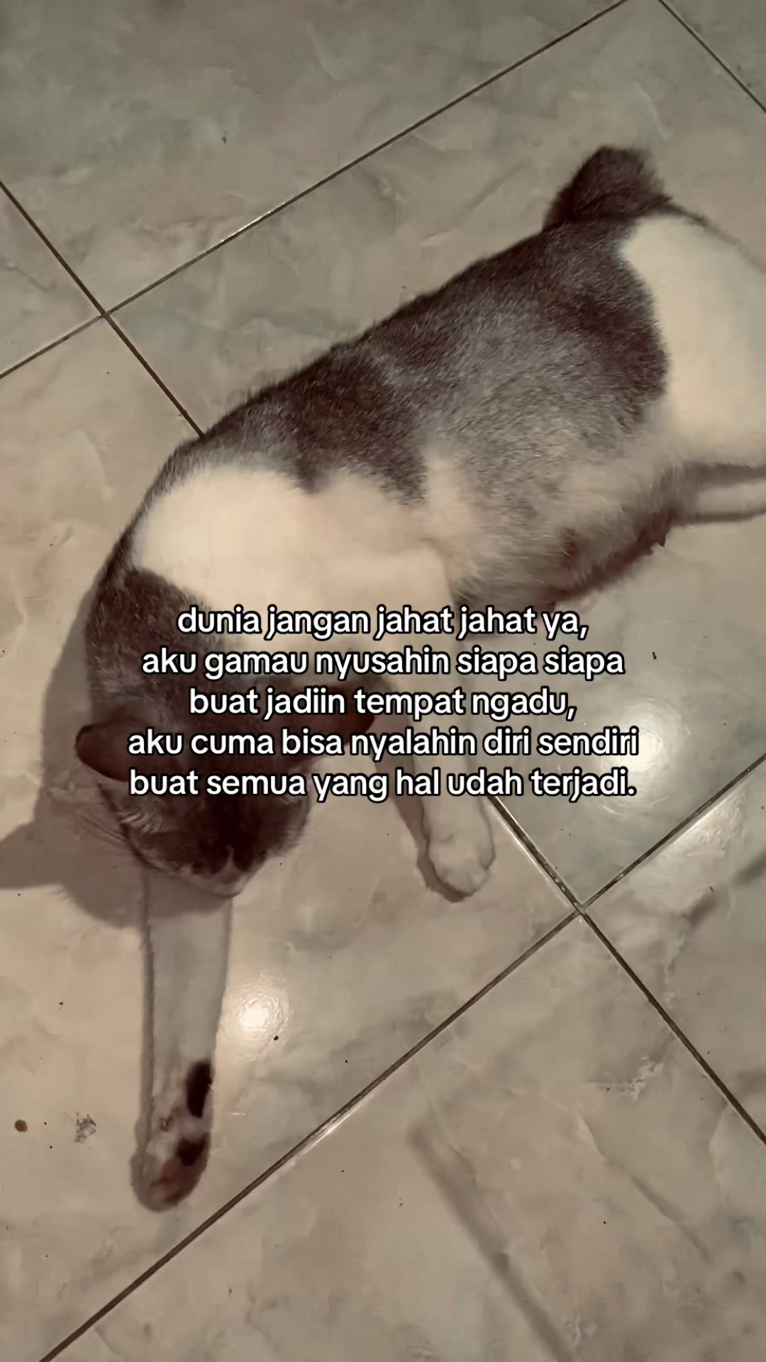 @lapolap