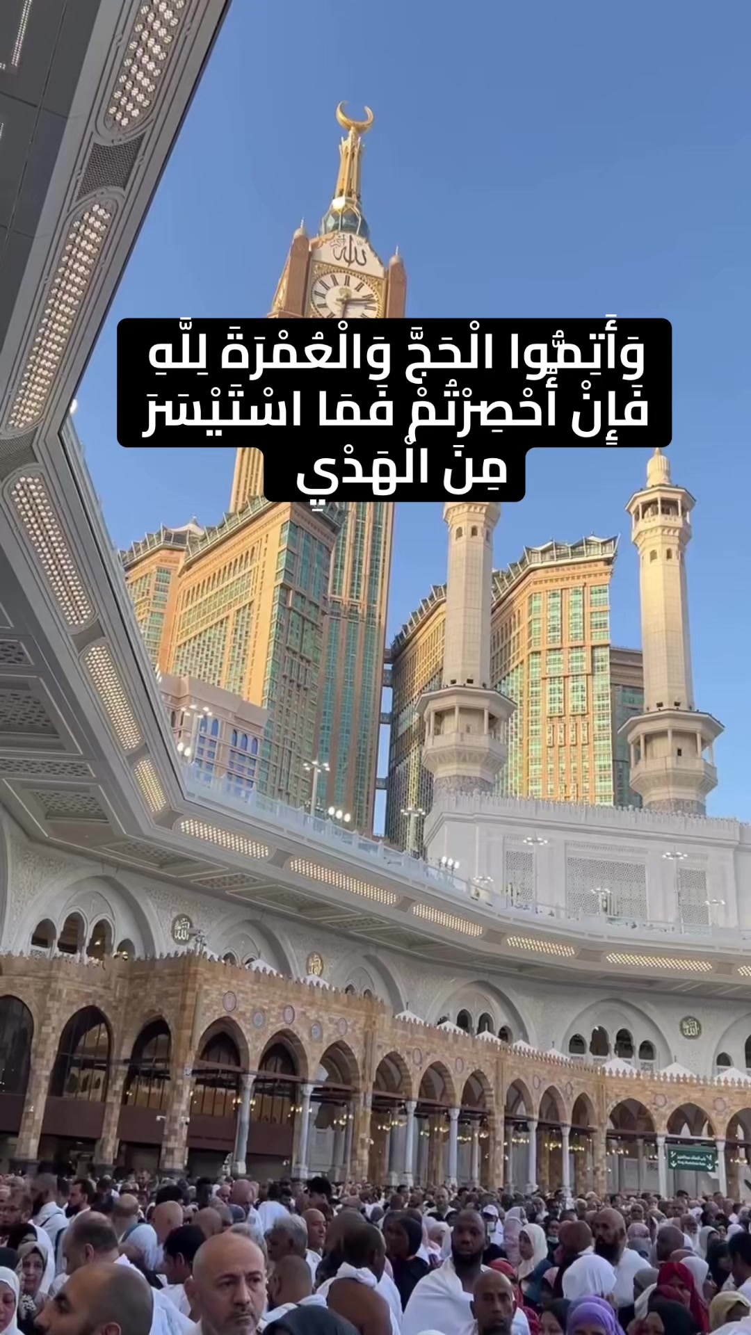 @Mahmoud Saad