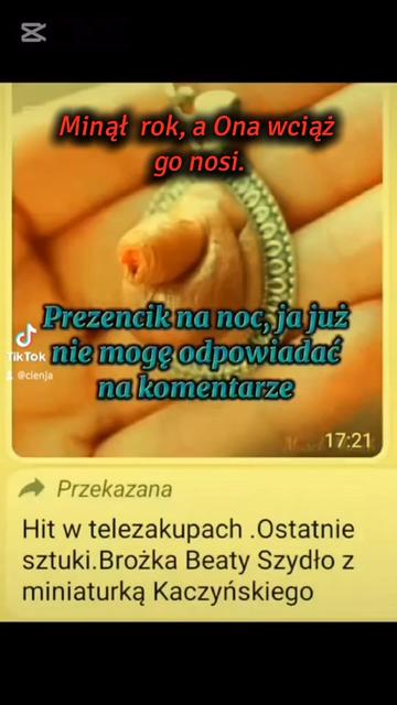 @👍IREK😇