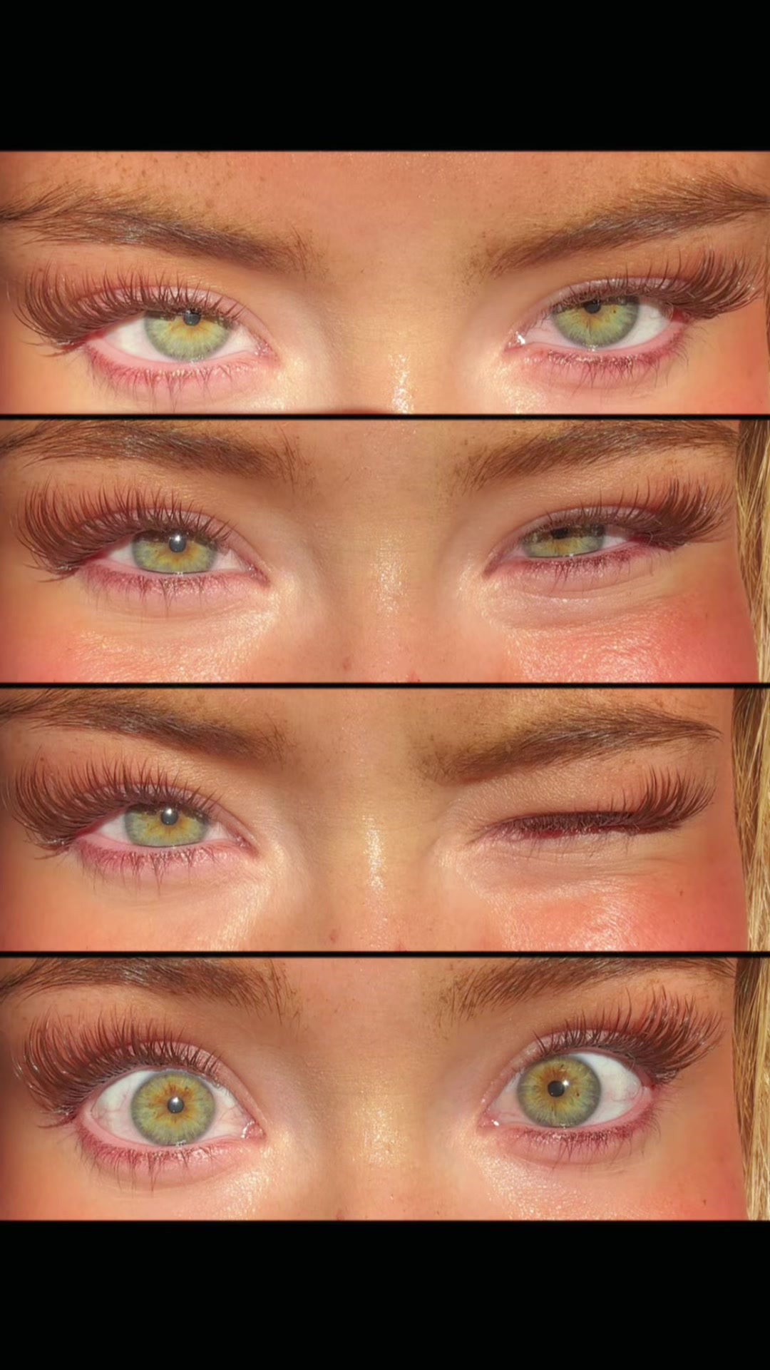 @itshalliewilde