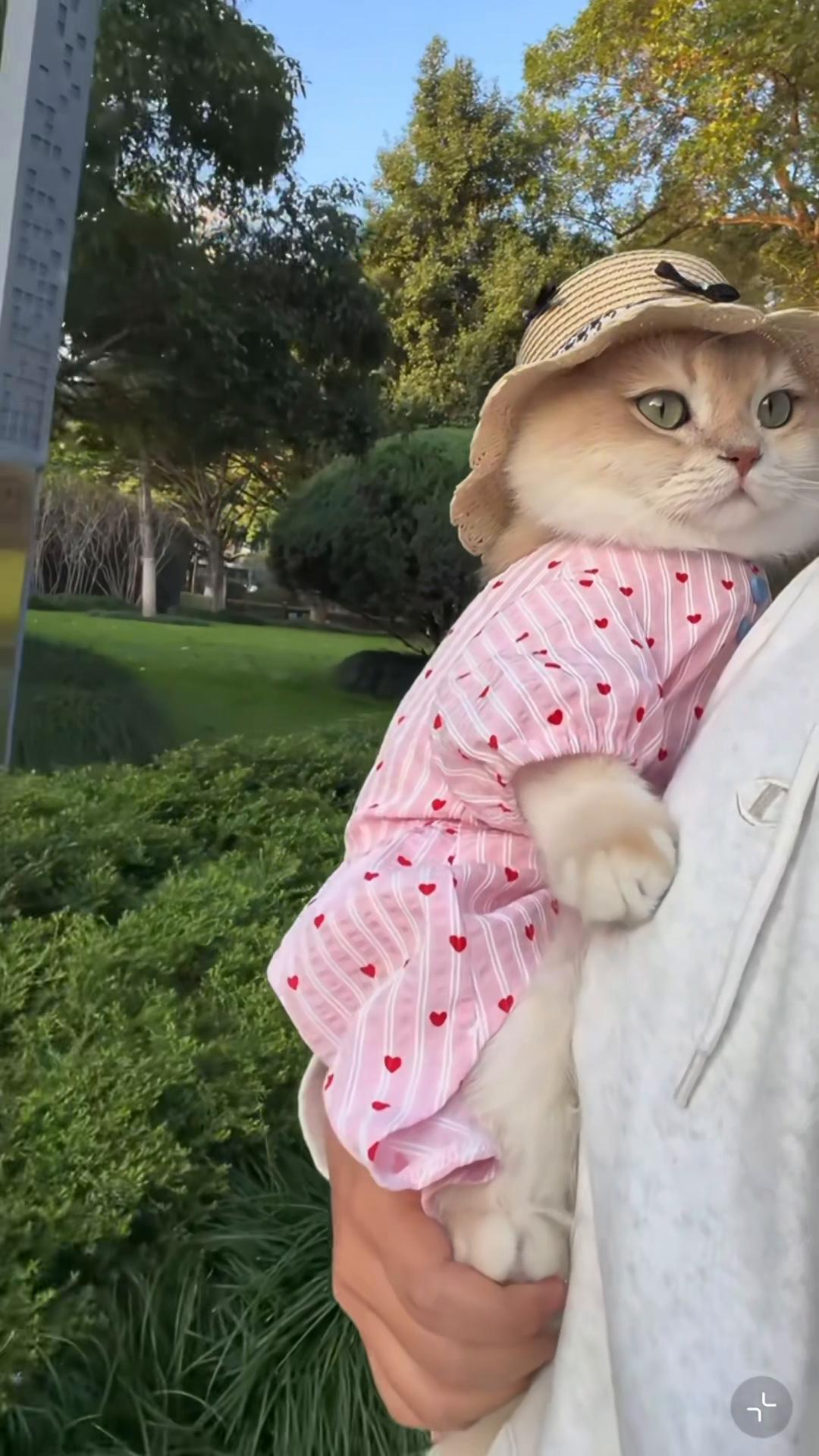 @My Daily Dose of Aww