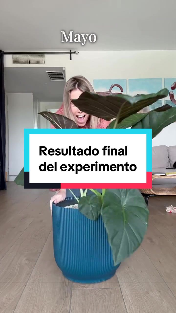 @🌱 En Abril Hojas Mil 🌱