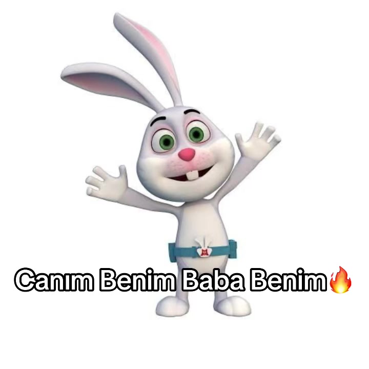 @tavsan_momo123
