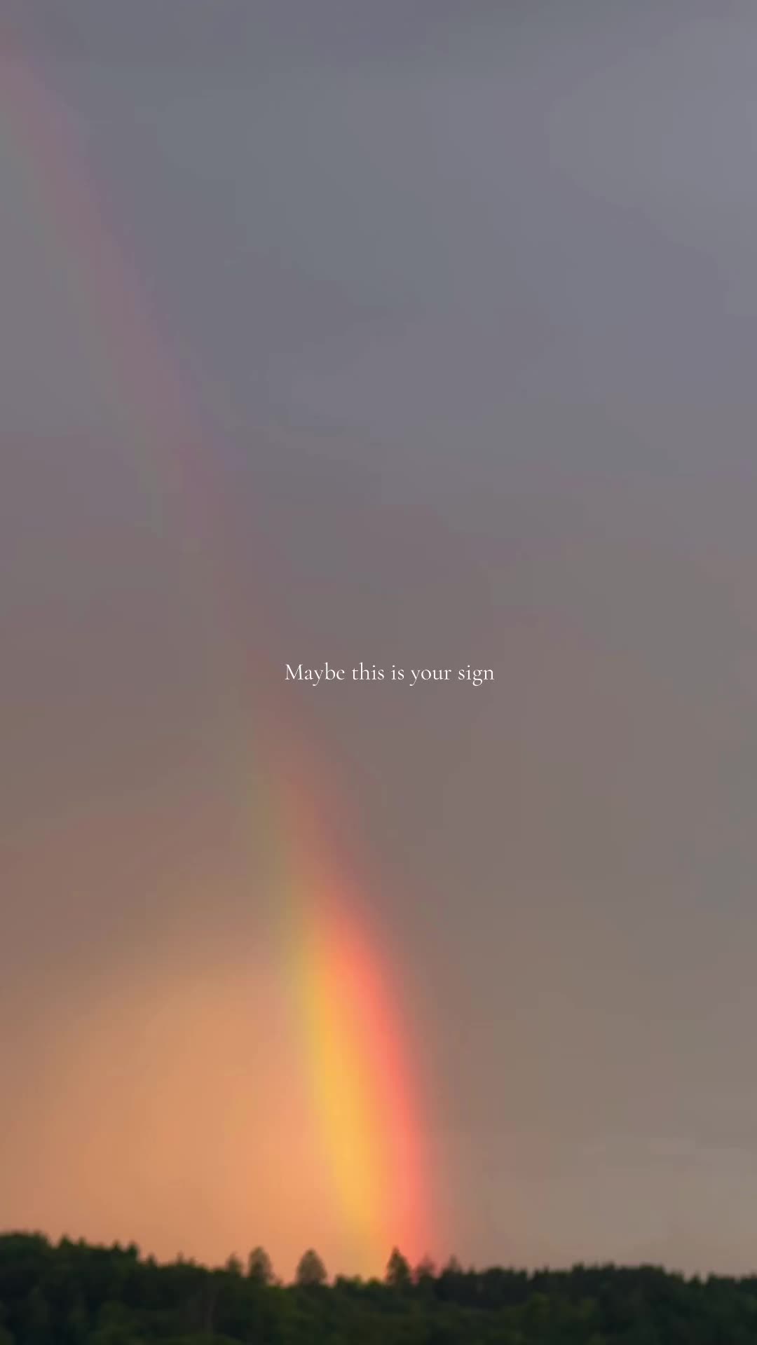 @𝖲.𝗁𝖾 𝗍𝗈𝗇𝖾𝗌 ☽