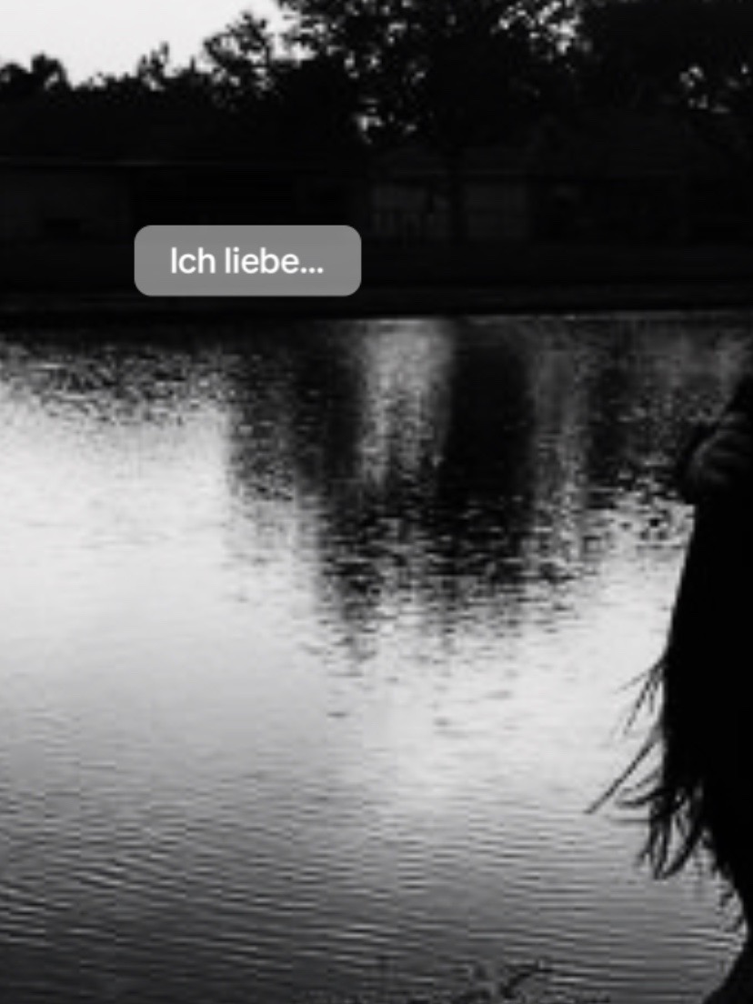 @xhz_mxrie
