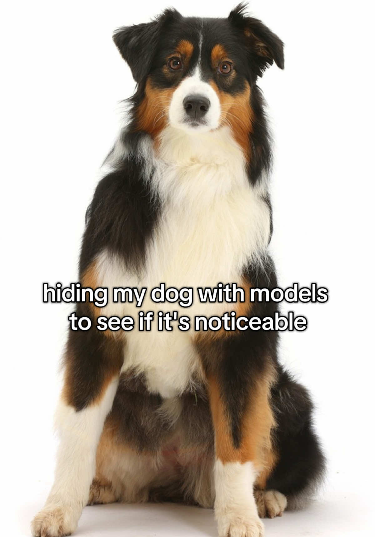 @AlvaTheHotDog