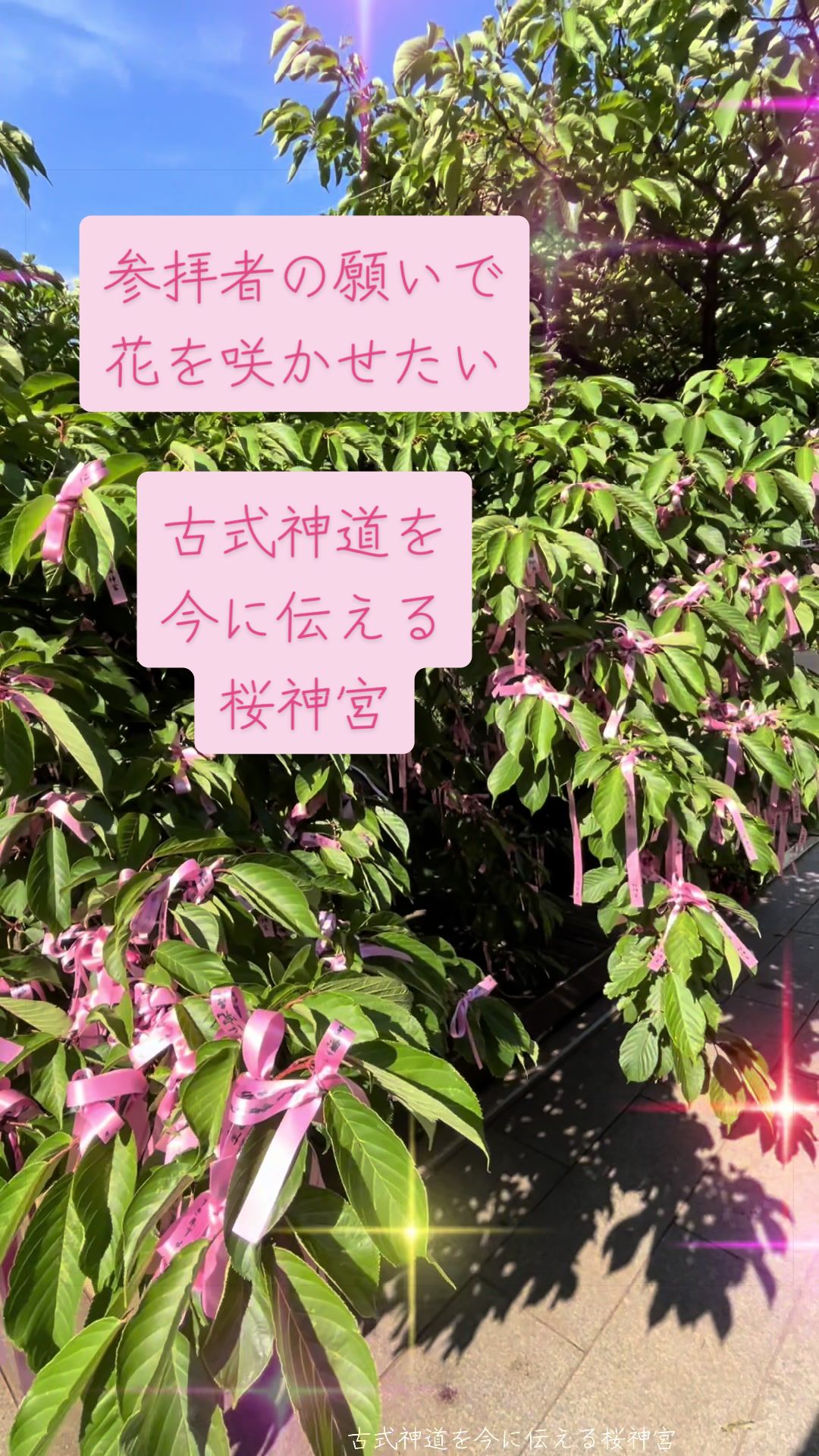 @Shigenjin｜神社巡りと音楽